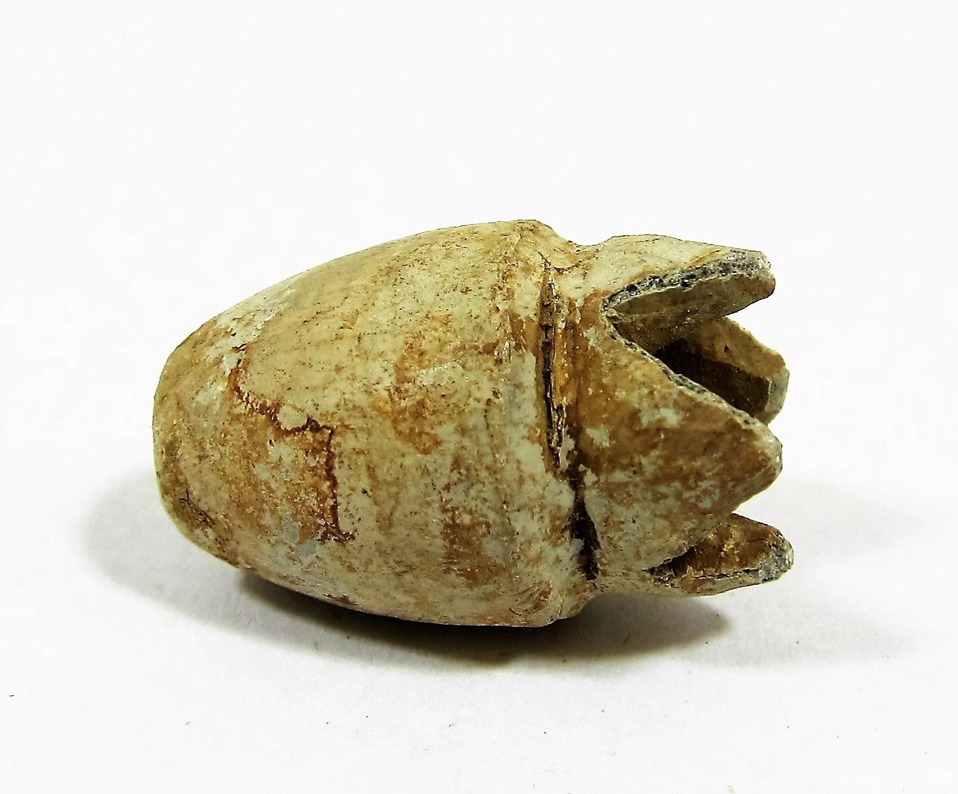 A close-up of a Civil War Carved Bullet with a split, deformed tip and weathered brownish surface, displayed on a plain white background.