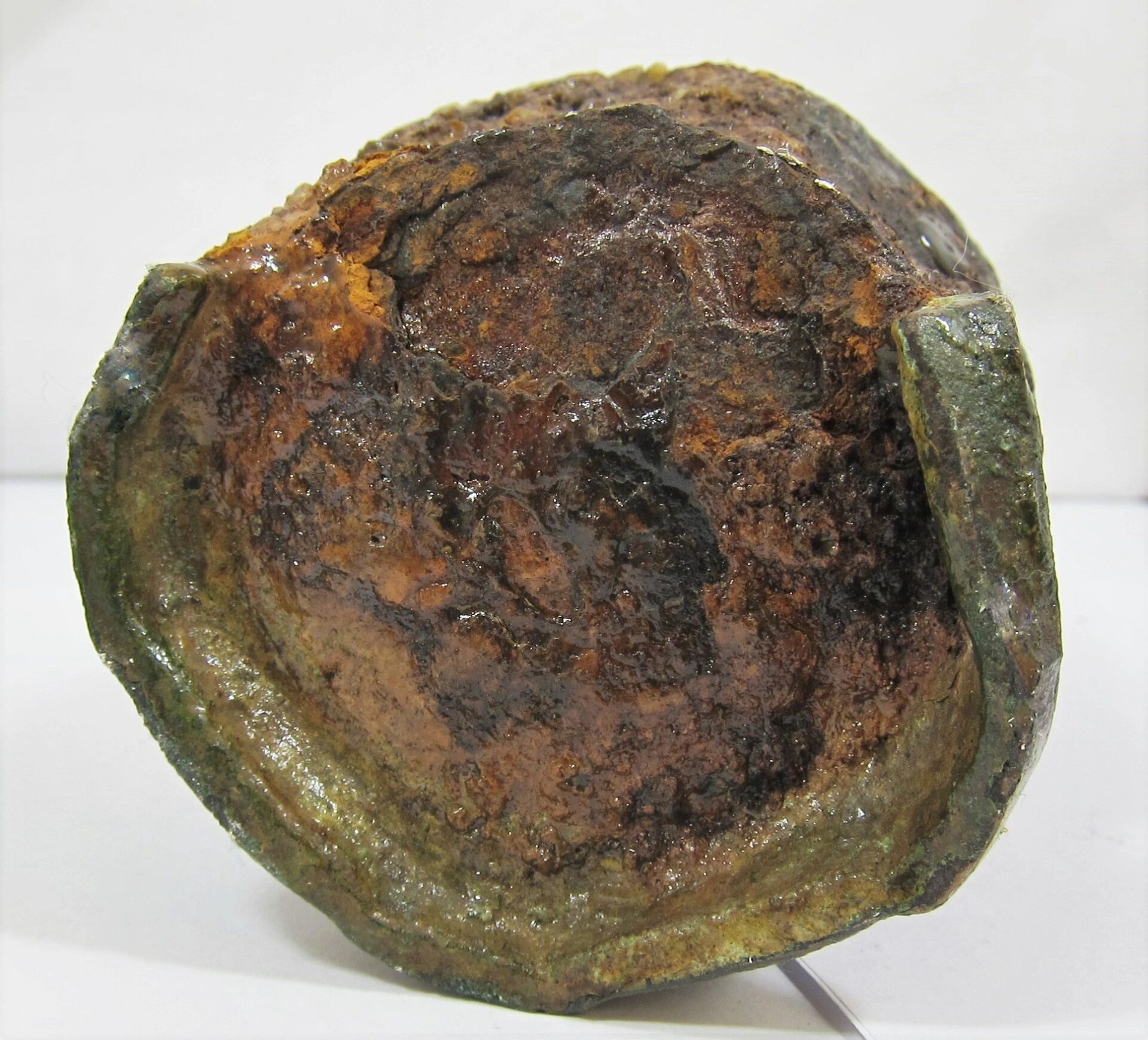 A Confederate Read / Sold can, viewed from the bottom, displays severe rust, corrosion, decay, and discoloration.