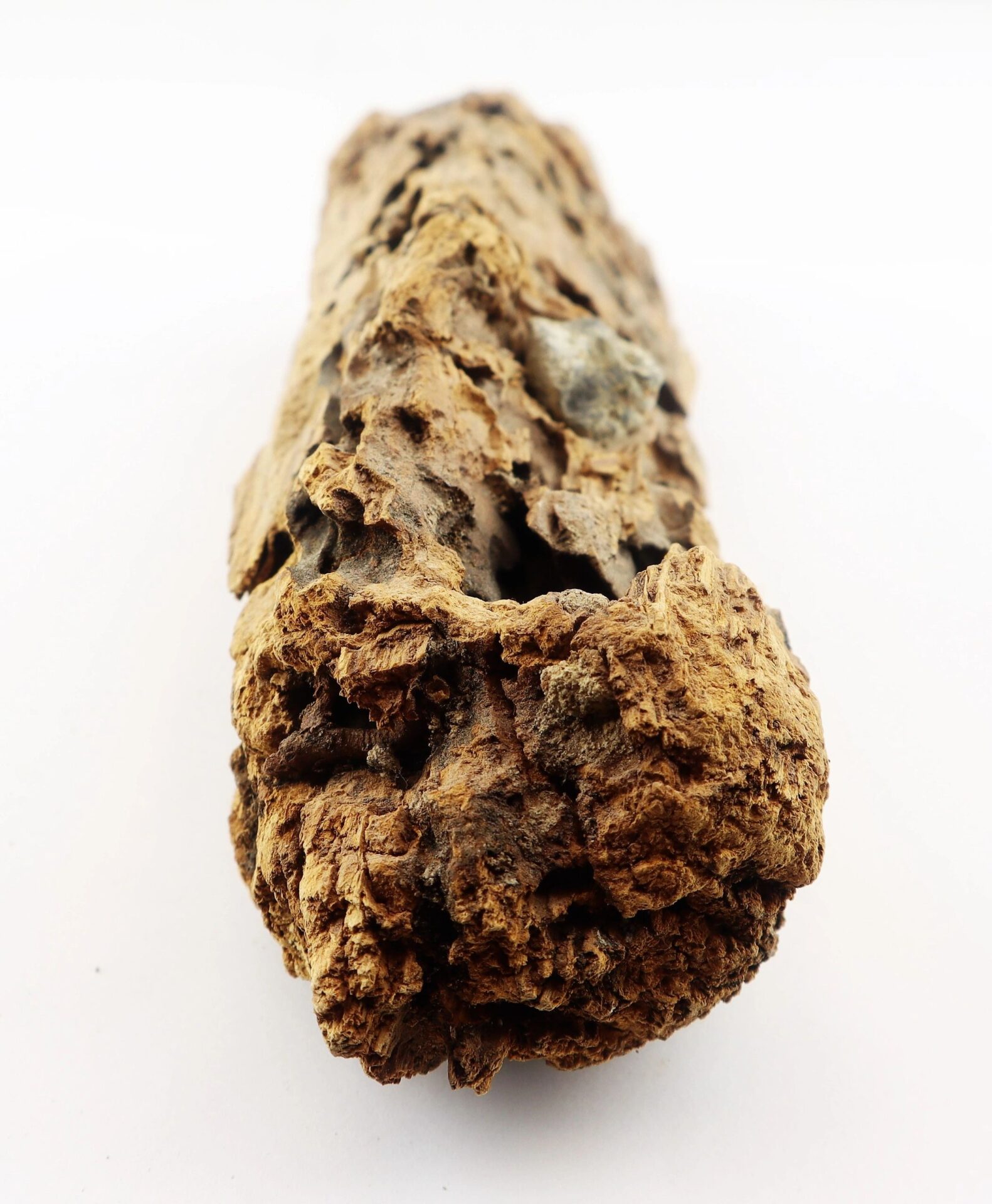 A close-up of a rough, brown, porous .58 Caliber Minie Bullet encased in wood from The Battle of Chancellorsville, shown against a plain white background.