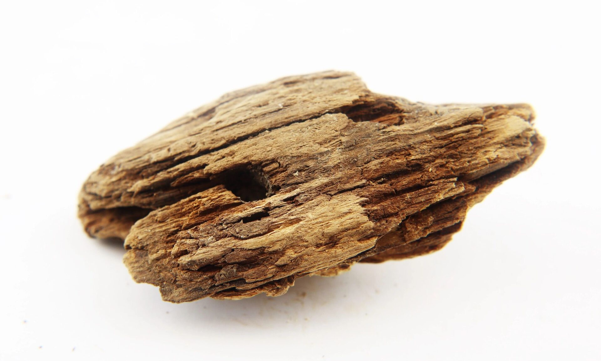 A close-up of a .577 Caliber Enfield Bullet embedded in wood from The Battle of Chancellorsville, showing its rough, dark brown texture against a white background.