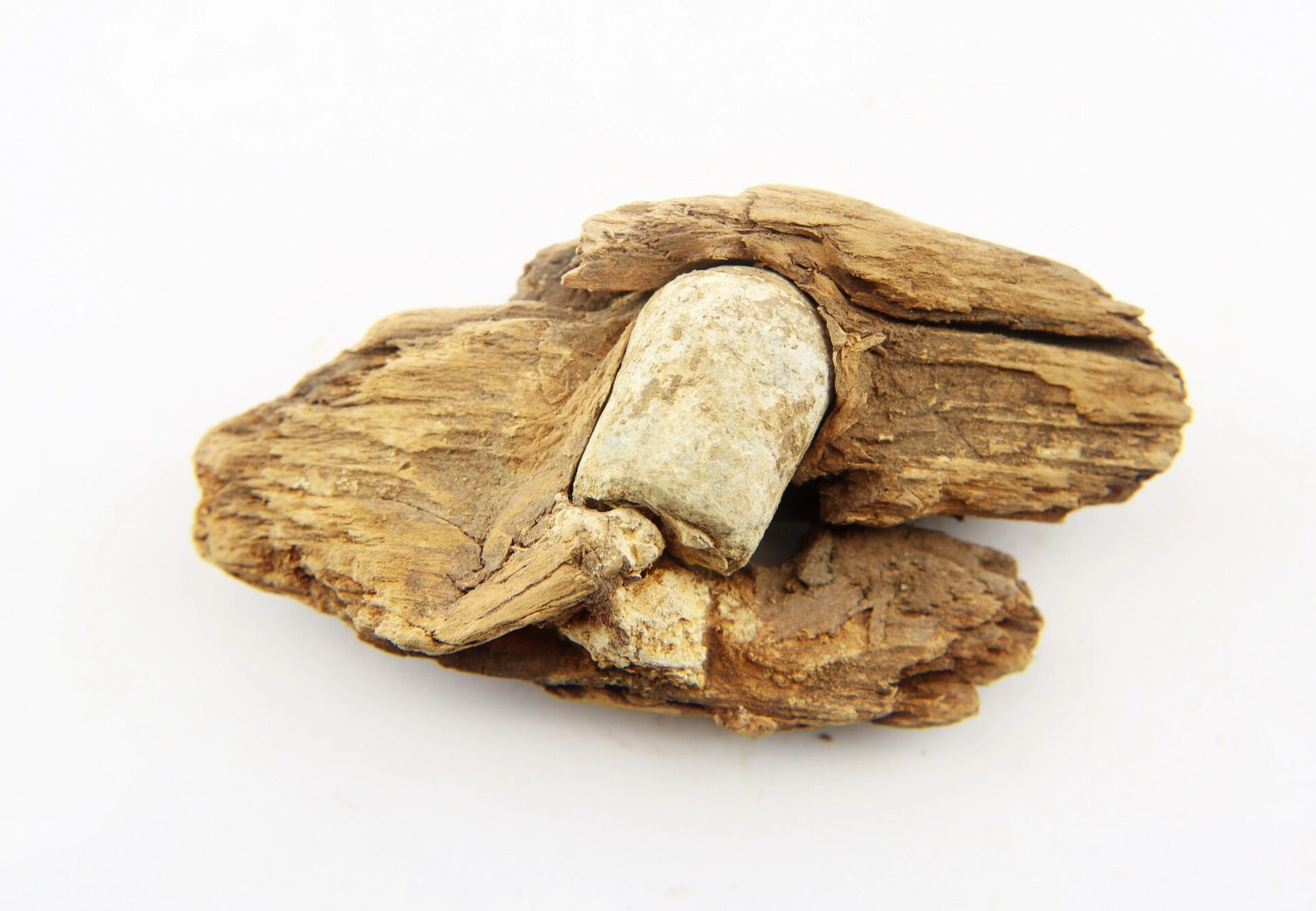 A .577 Caliber Enfield bullet is partially embedded in a rough, weathered piece of wood from The Battle of Chancellorsville, displayed against a plain white background.