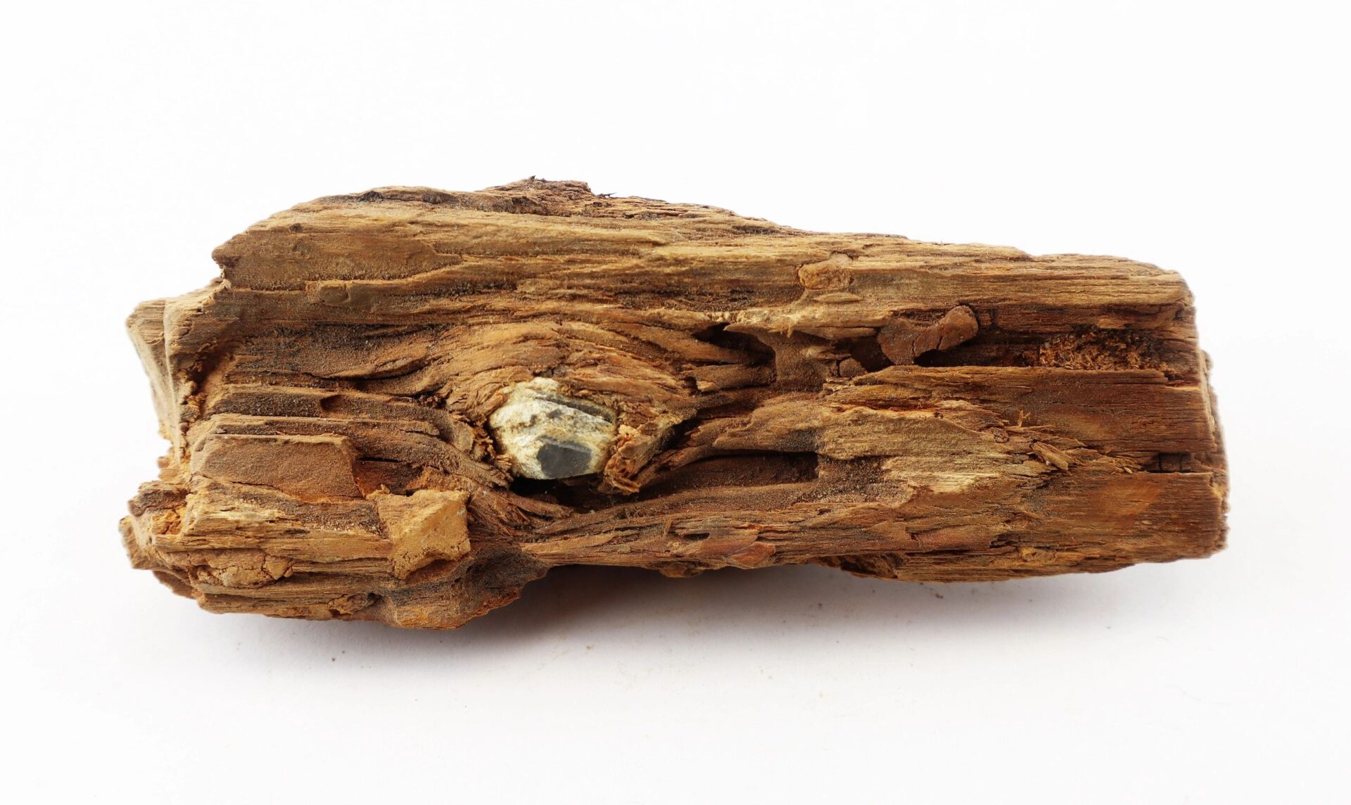 A Civil War bullet embedded in wood from The Battle of Chancellorsville, showing visible grain and rough texture, displayed on a white background.
