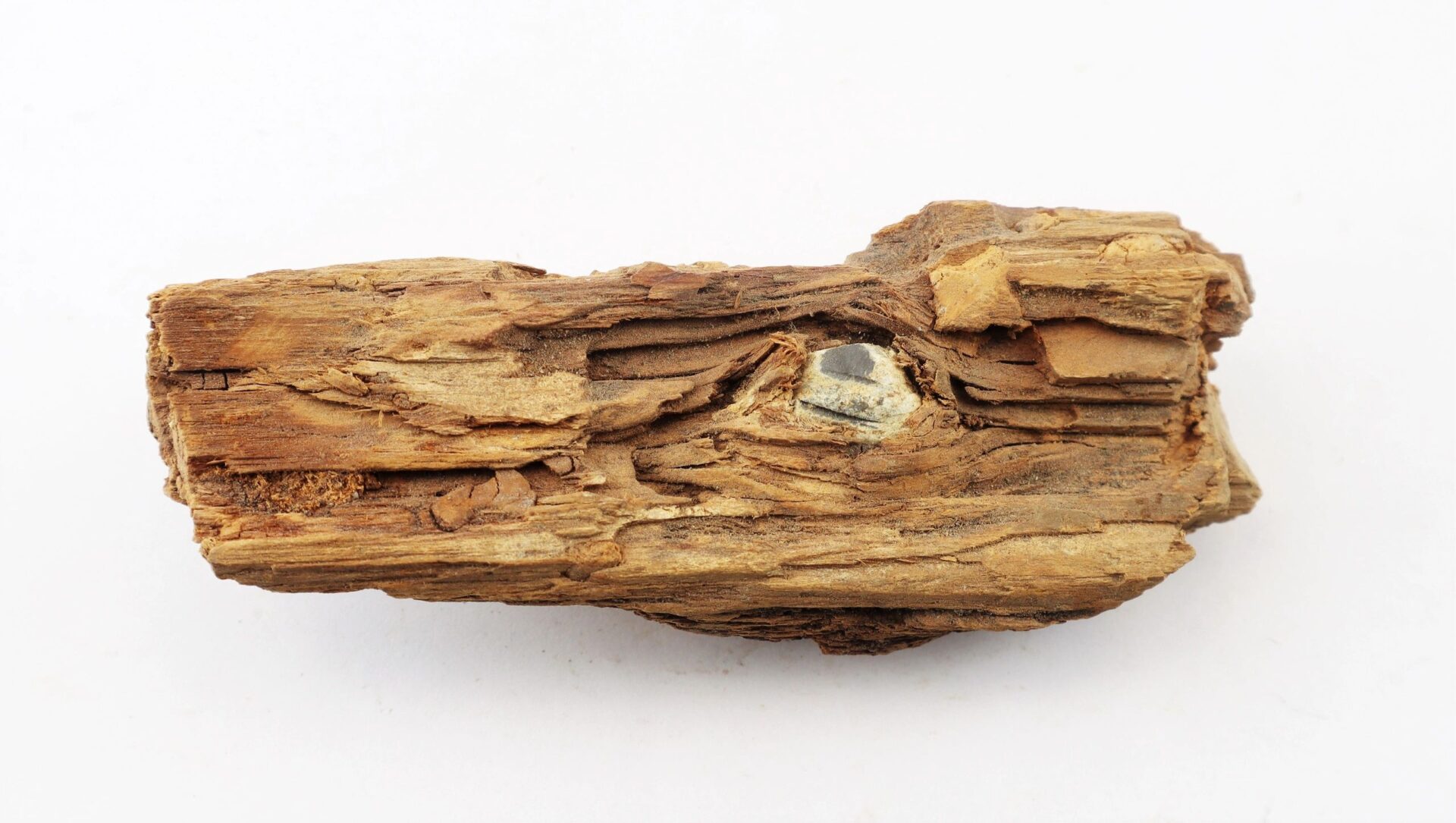 A Civil War bullet embedded in wood from The Battle of Chancellorsville, featuring layered brown textures and a small stone, displayed on a plain white background. Product: Civil War Bullet in Wood from The Battle of Chancellorsville / SOLD.