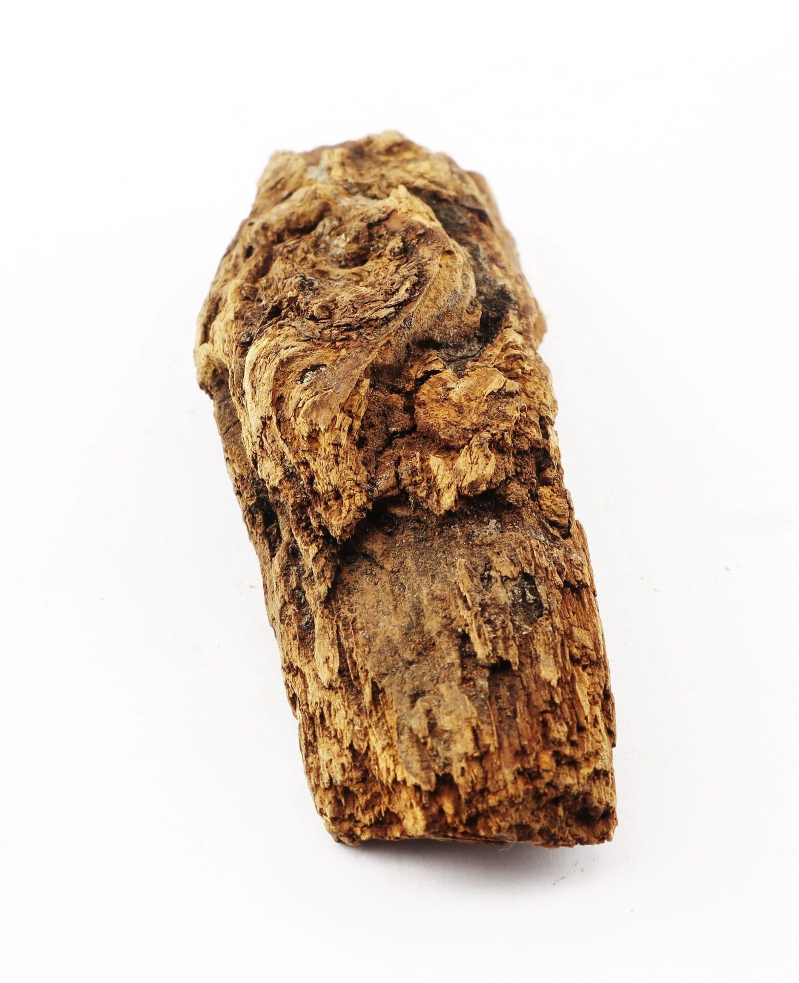 A close-up of a Civil War bullet embedded in wood from the Battle of Chancellorsville, displayed against a white background.