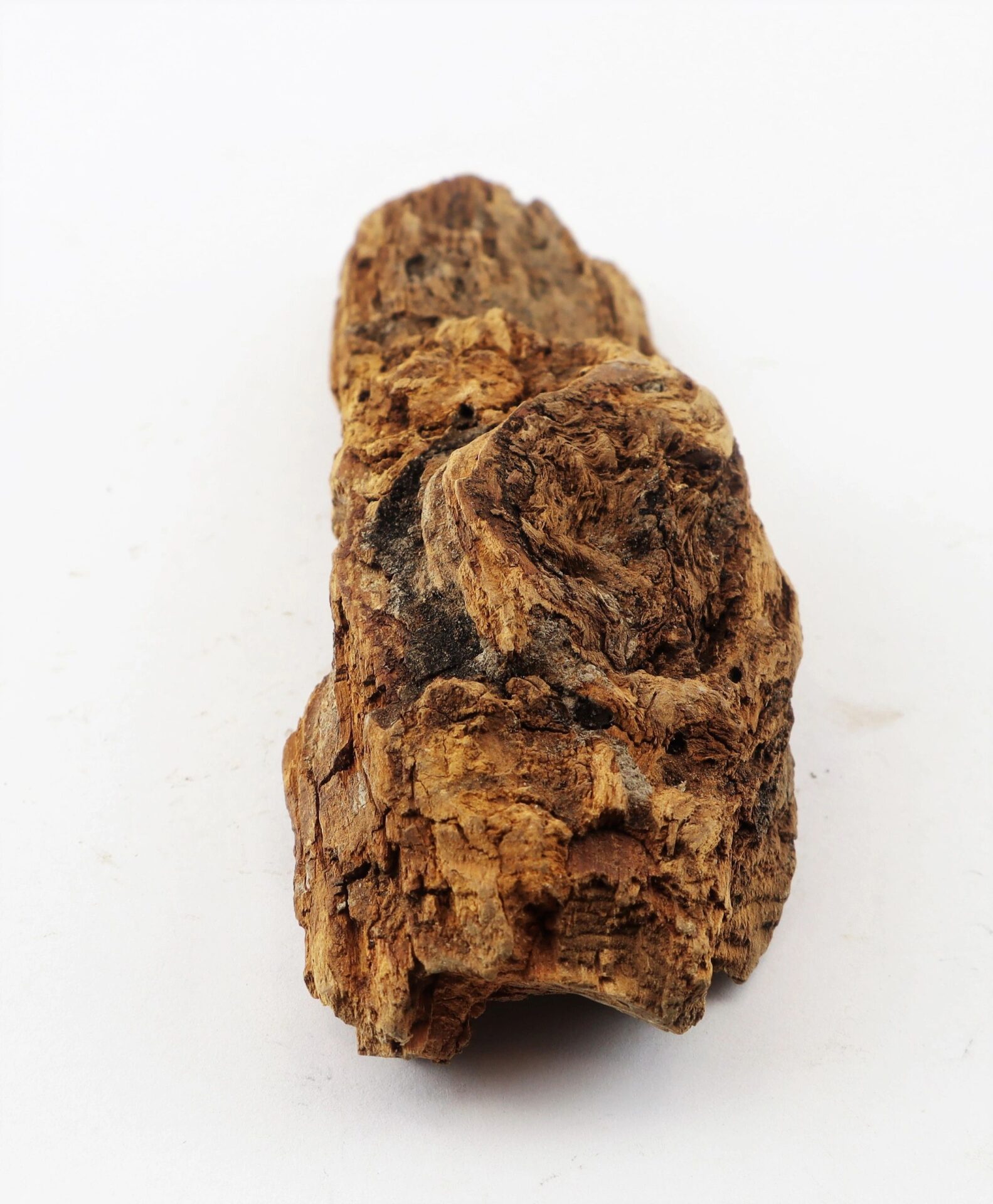 A Civil War bullet lodged in rough, brown wood from the Battle of Chancellorsville is displayed against a plain white background.