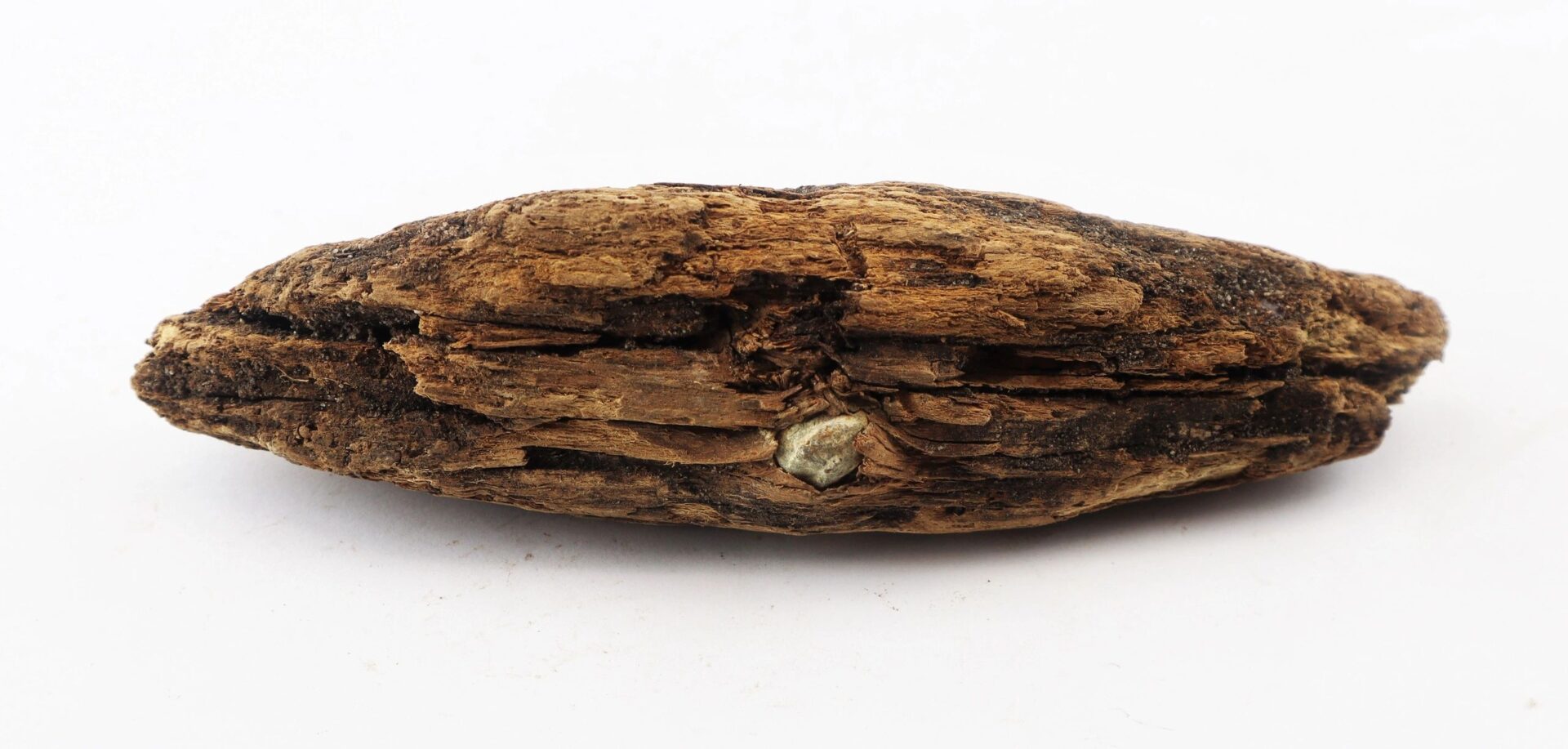 A close-up of a Civil War bullet embedded in wood from the Battle of Chancellorsville, showing its historic texture on a plain white background.