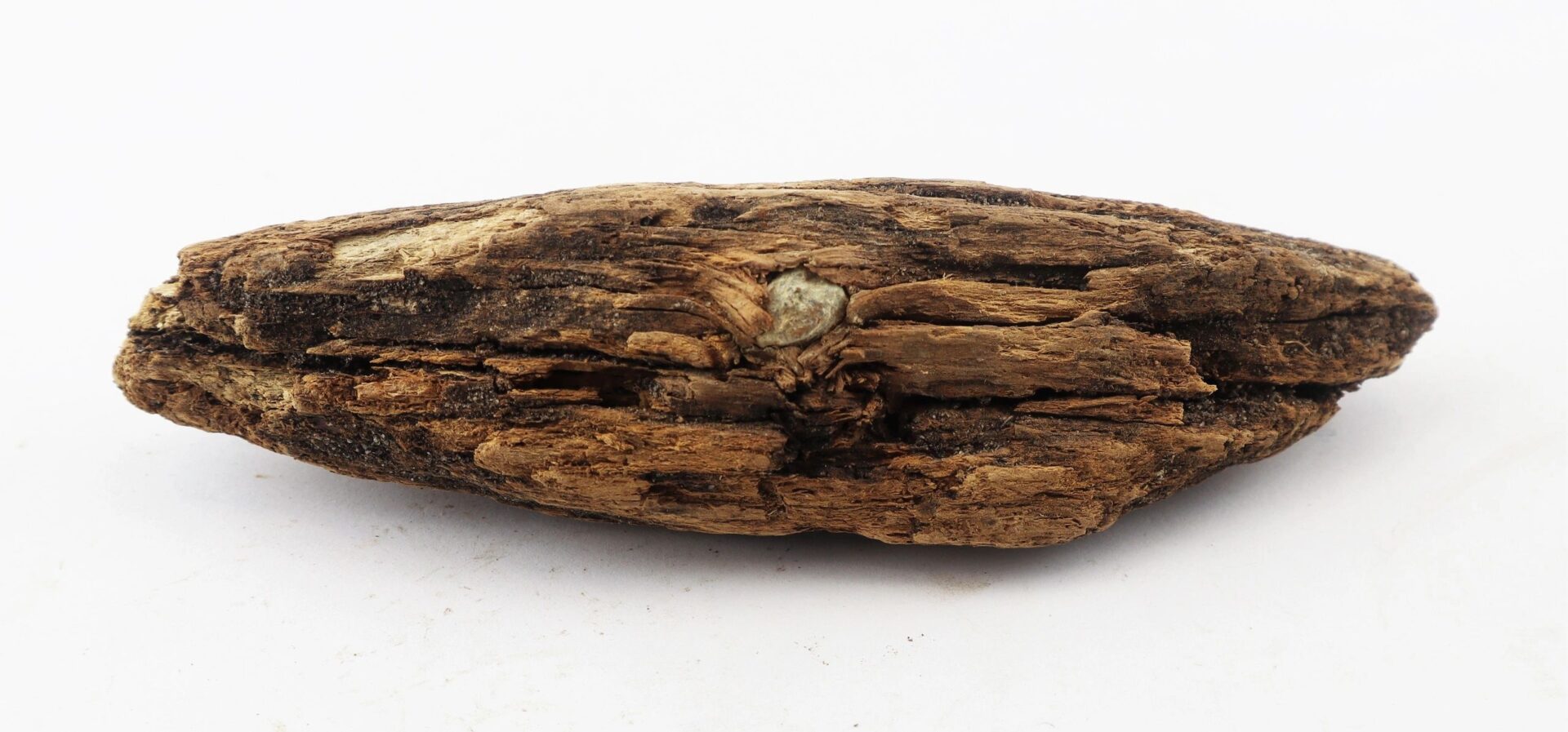 A Civil War bullet embedded in wood from the Battle of Chancellorsville is shown against a plain white background.