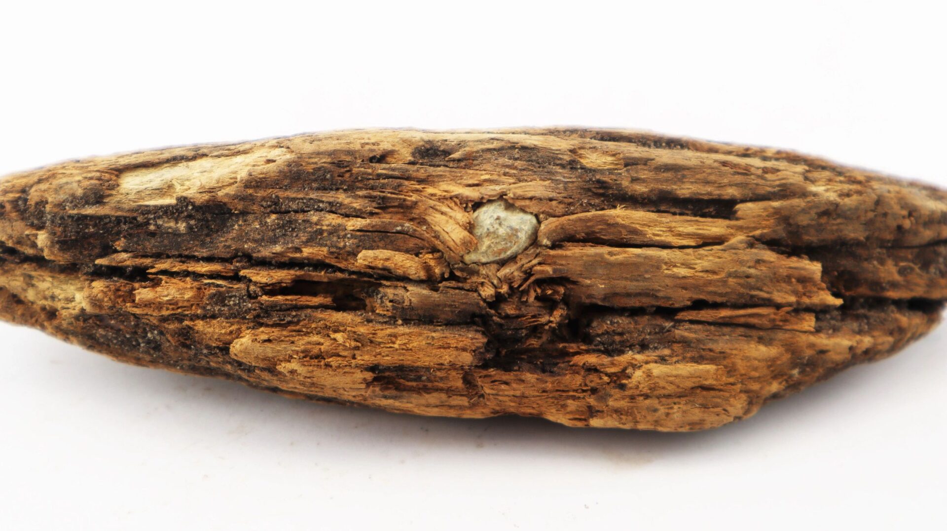 Close-up of a Civil War bullet embedded in wood from The Battle of Chancellorsville, showing the weathered surface and historic detail against a white background. This item is SOLD.