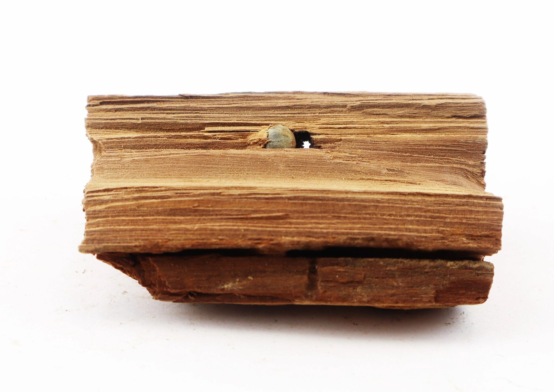 A close-up of a Civil War bullet embedded in wood from The Battle of Chancellorsville, set against a white background.