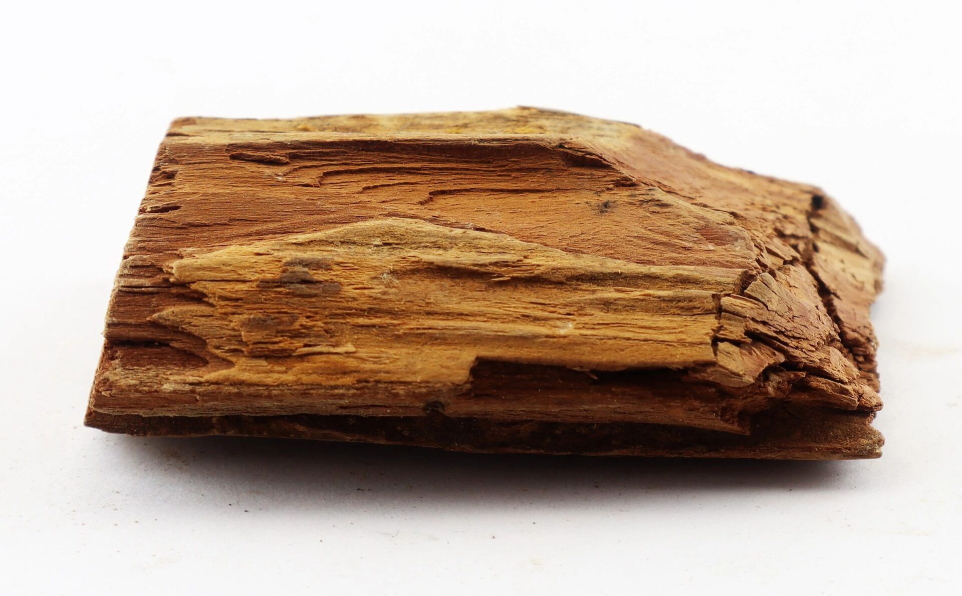 A close-up view of a rough, brown piece of wood embedded with a Civil War bullet from The Battle of Chancellorsville, set against a white background.