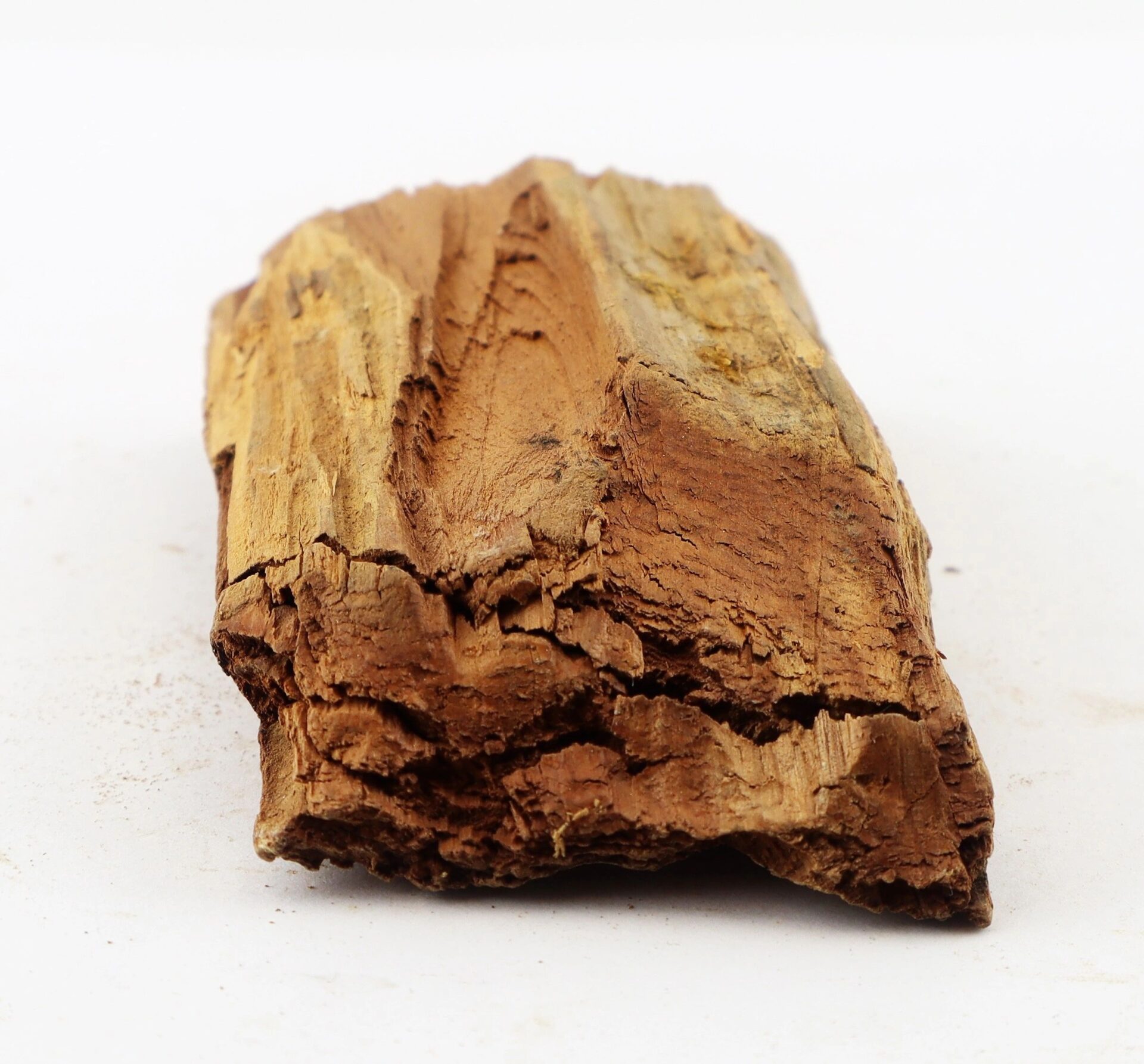 A close-up of a Civil War bullet embedded in wood from The Battle of Chancellorsville, photographed on a plain white background.