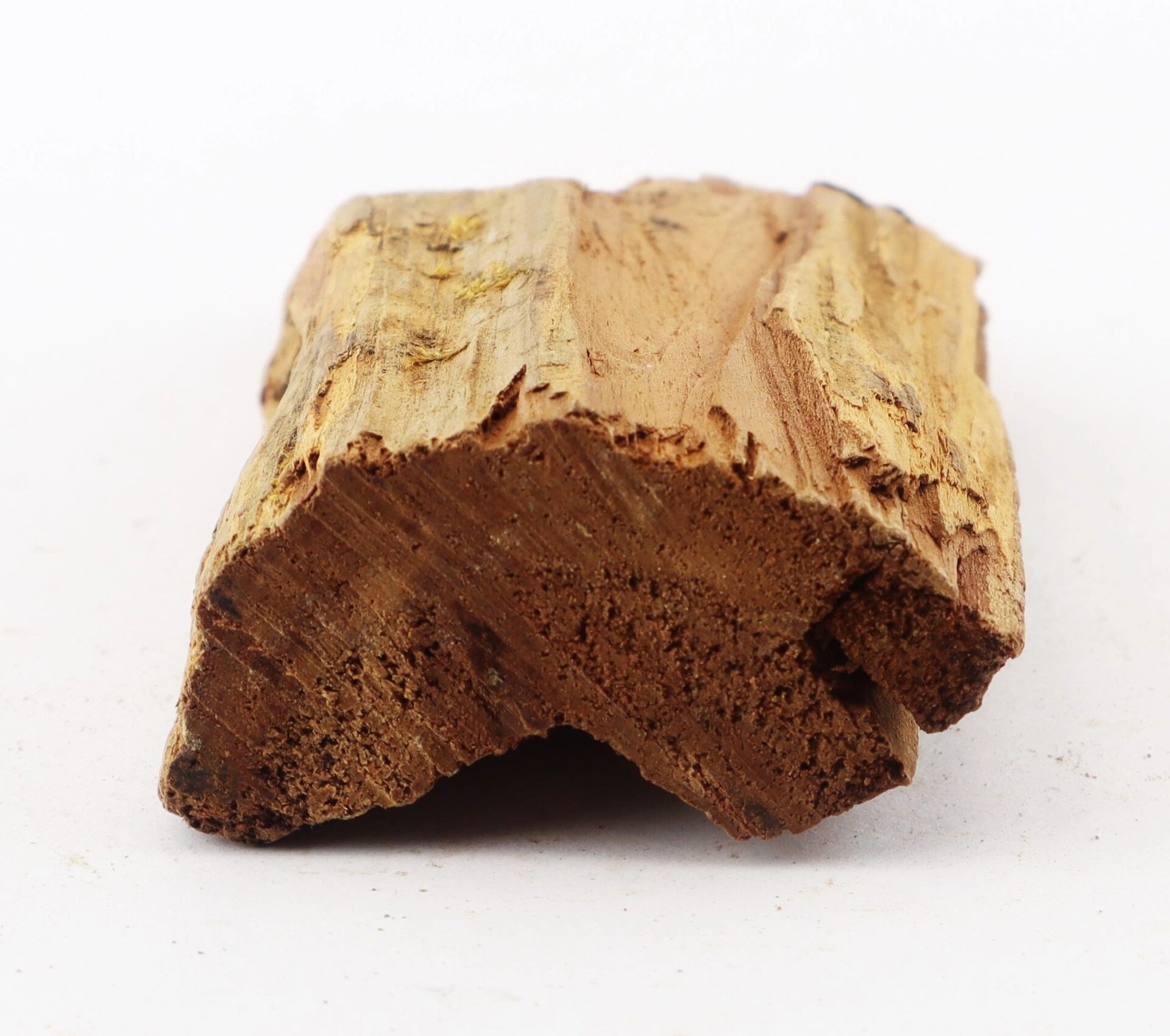 A close-up of a Civil War bullet embedded in wood from The Battle of Chancellorsville shows its rough, layered structure against a white background.