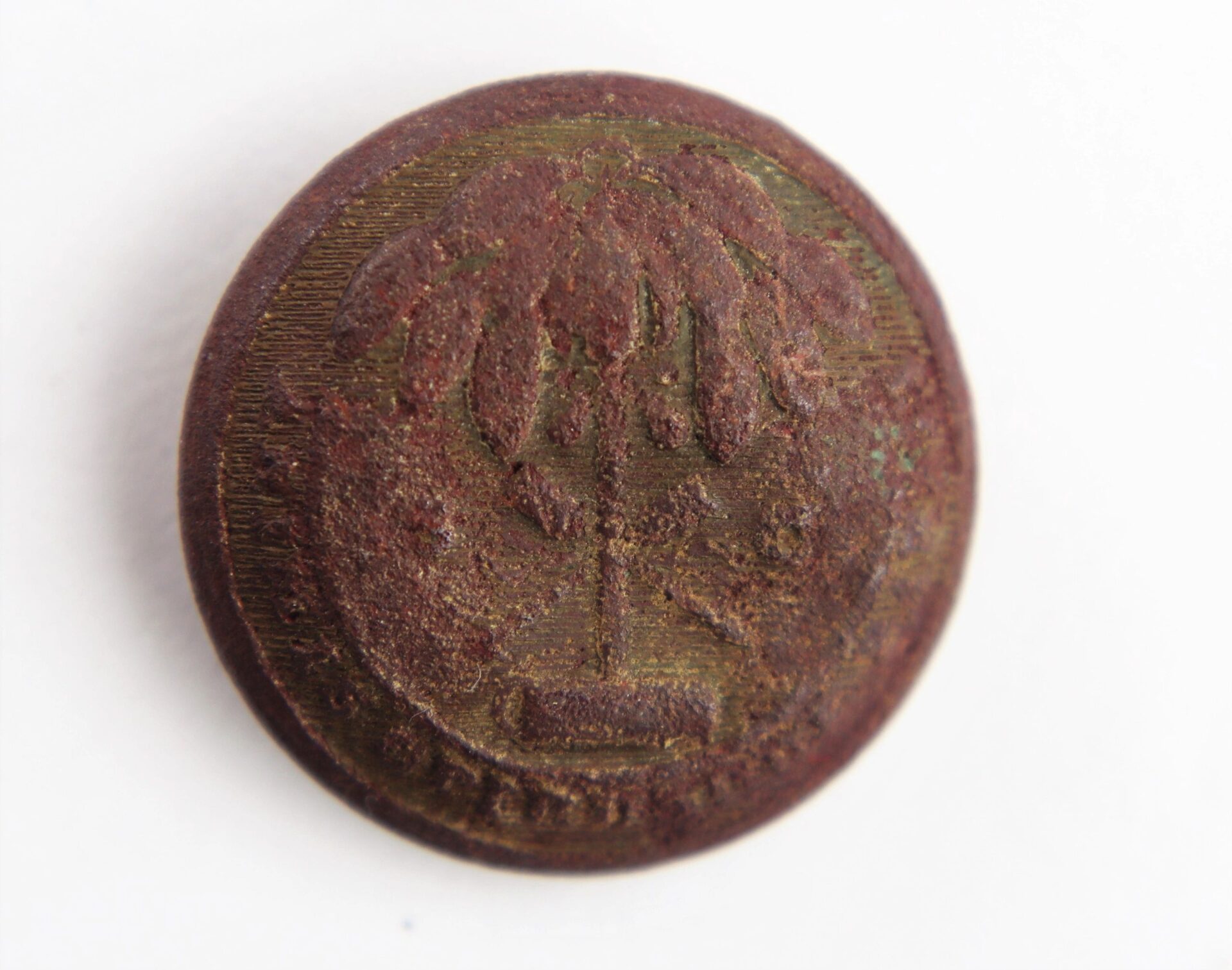 A round, rusted South Carolina Coat Button from the Battle of Gettysburg, featuring an embossed palm tree design on a white background.