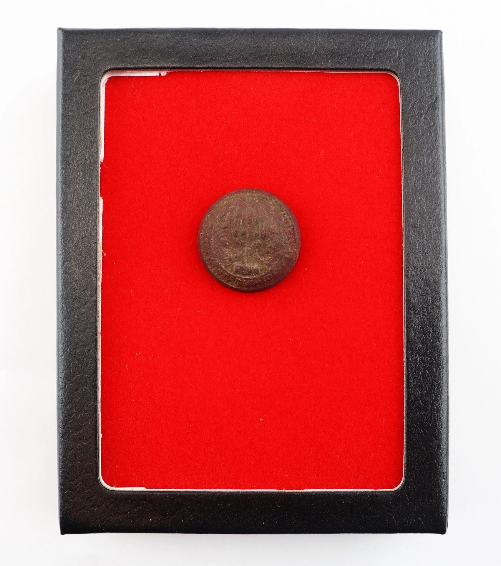 A single South Carolina Coat Button from the Battle of Gettysburg is displayed in the center of a red felt-lined black display case.