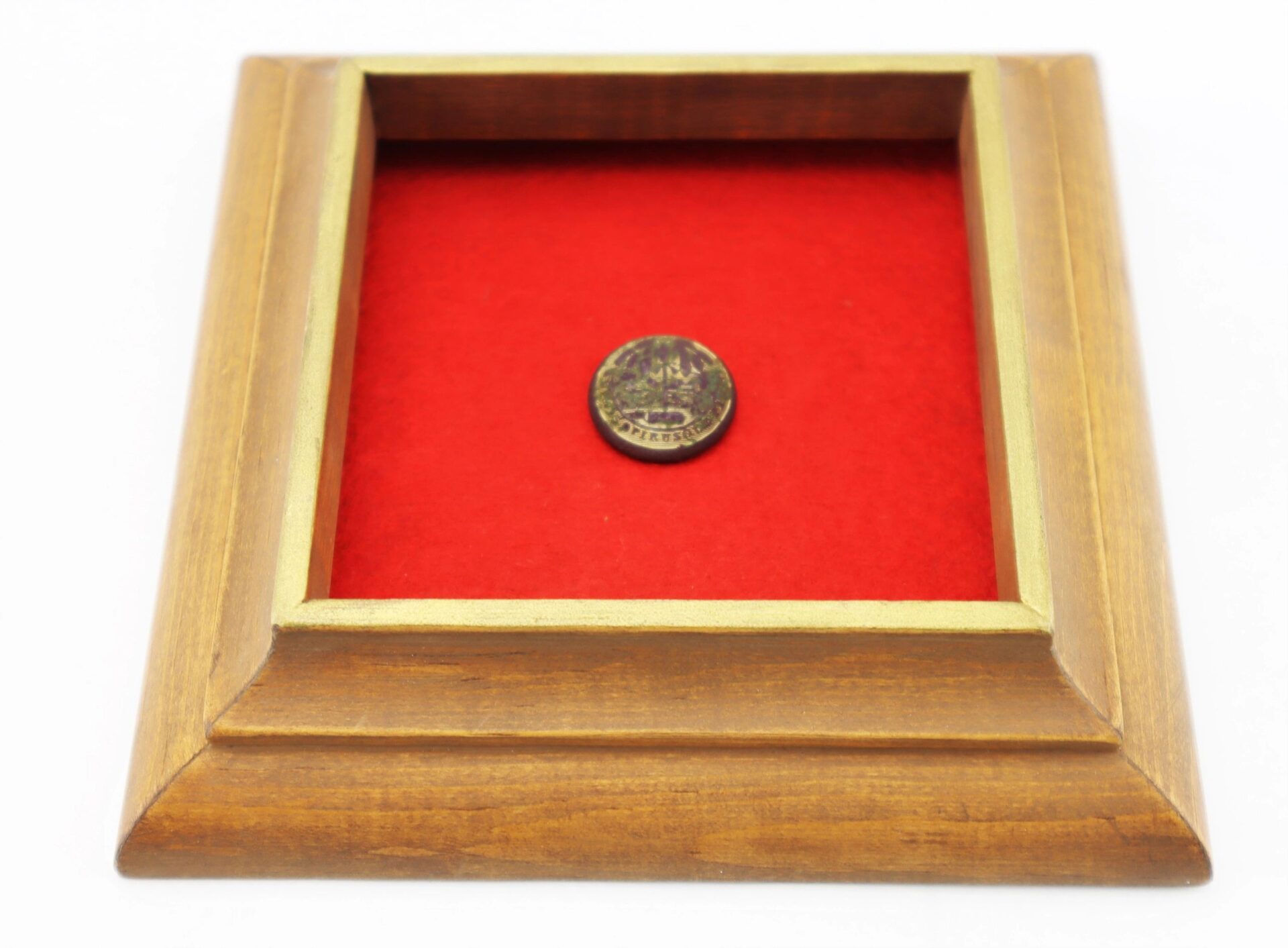 The South Carolina Coat Button is displayed in the center of a red velvet-lined wooden frame with a glass cover.