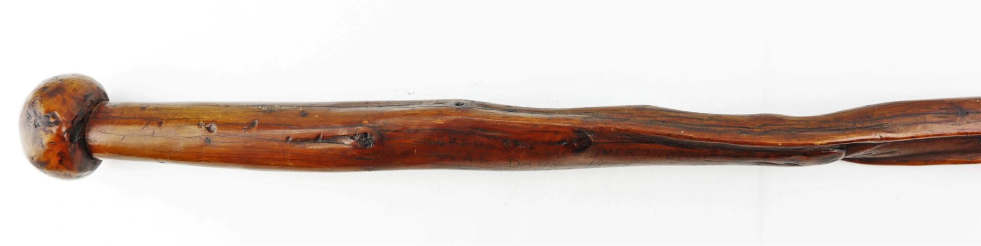 A Cane Made of Wood from Georgia Swamp featuring a rounded handle and natural knots along the shaft, showcased against a white background.