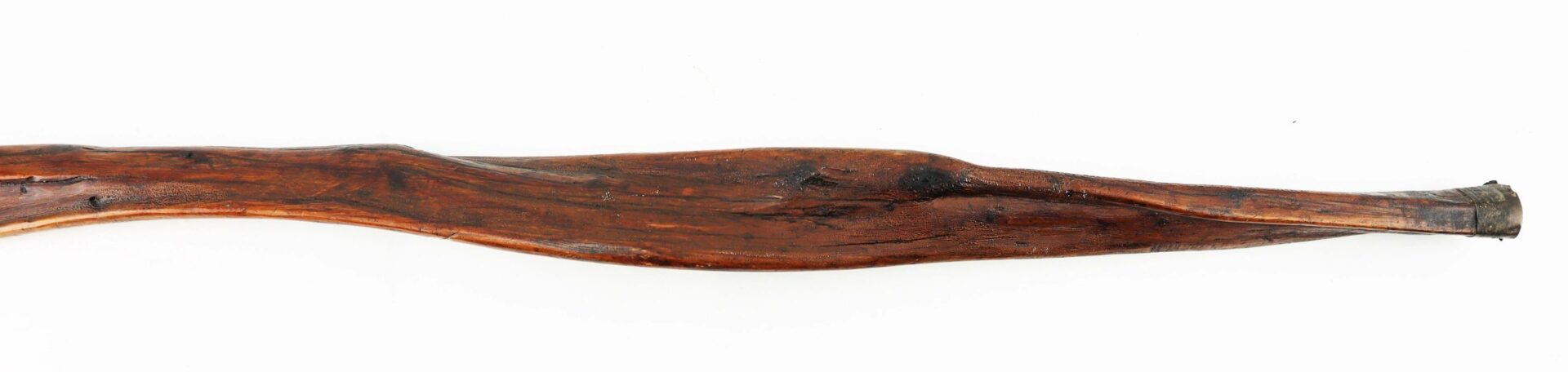 A wooden cane from Georgia swamp, featuring a slightly curved shape, an uneven thicker middle, and a tapered end, shown against a white background.