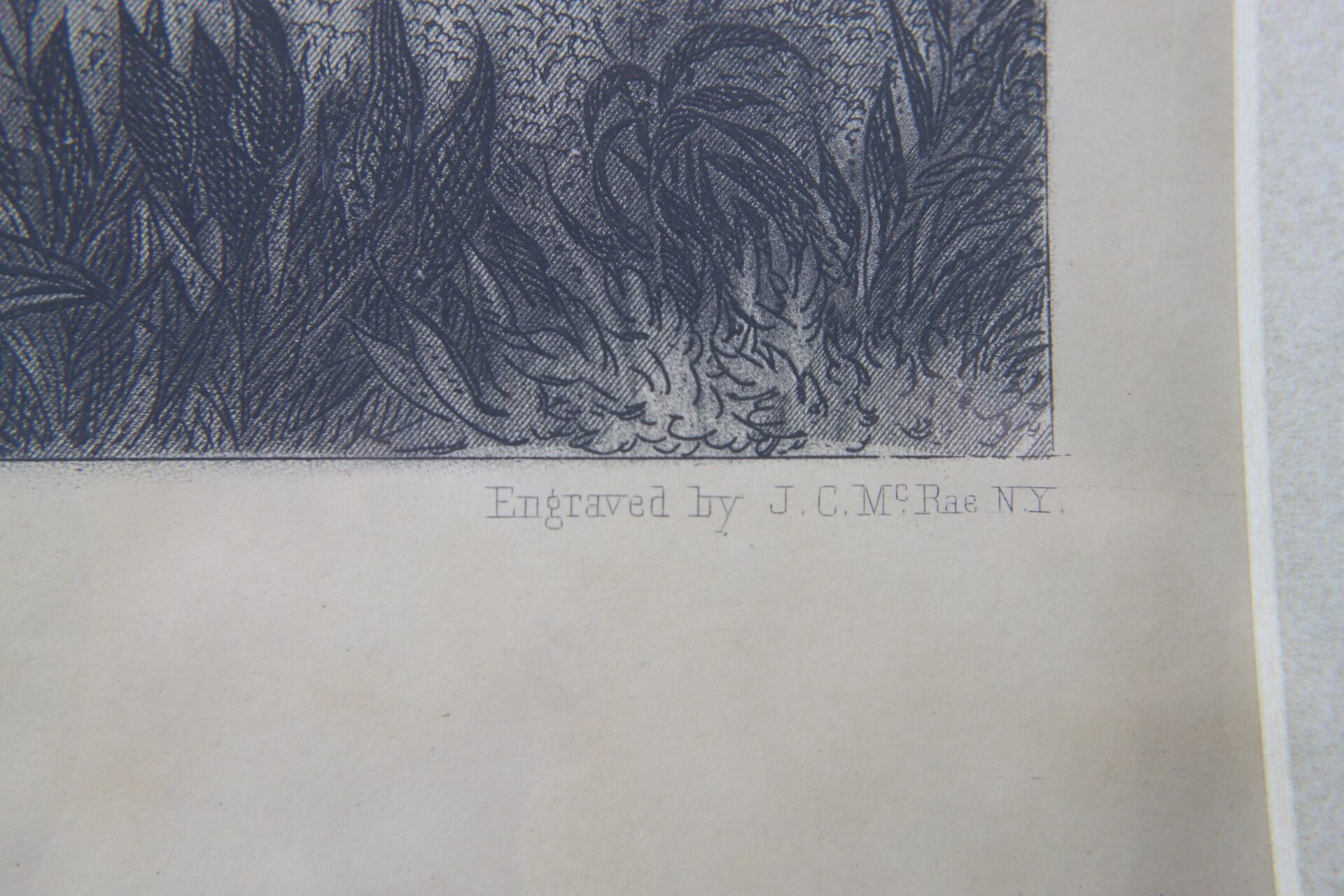 Close-up of the General Robert E. Lee engraving, showing dense foliage and "Engraved by J.C. McRae N.Y." printed beneath the image.