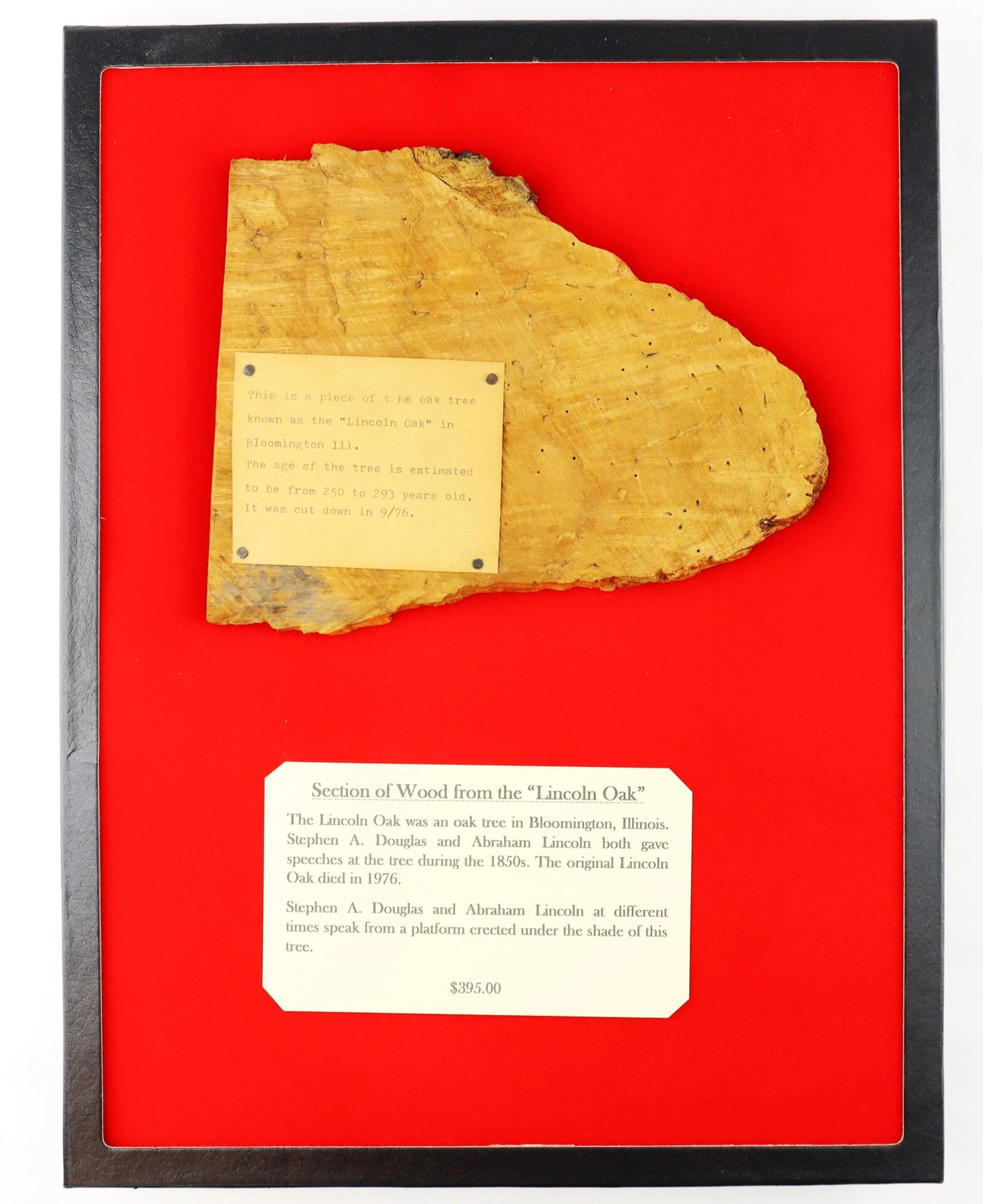 A Section of Wood from the “Lincoln Oak” (SOLD) is displayed with a plaque explaining its history, priced at $395.00, on a bright red background.