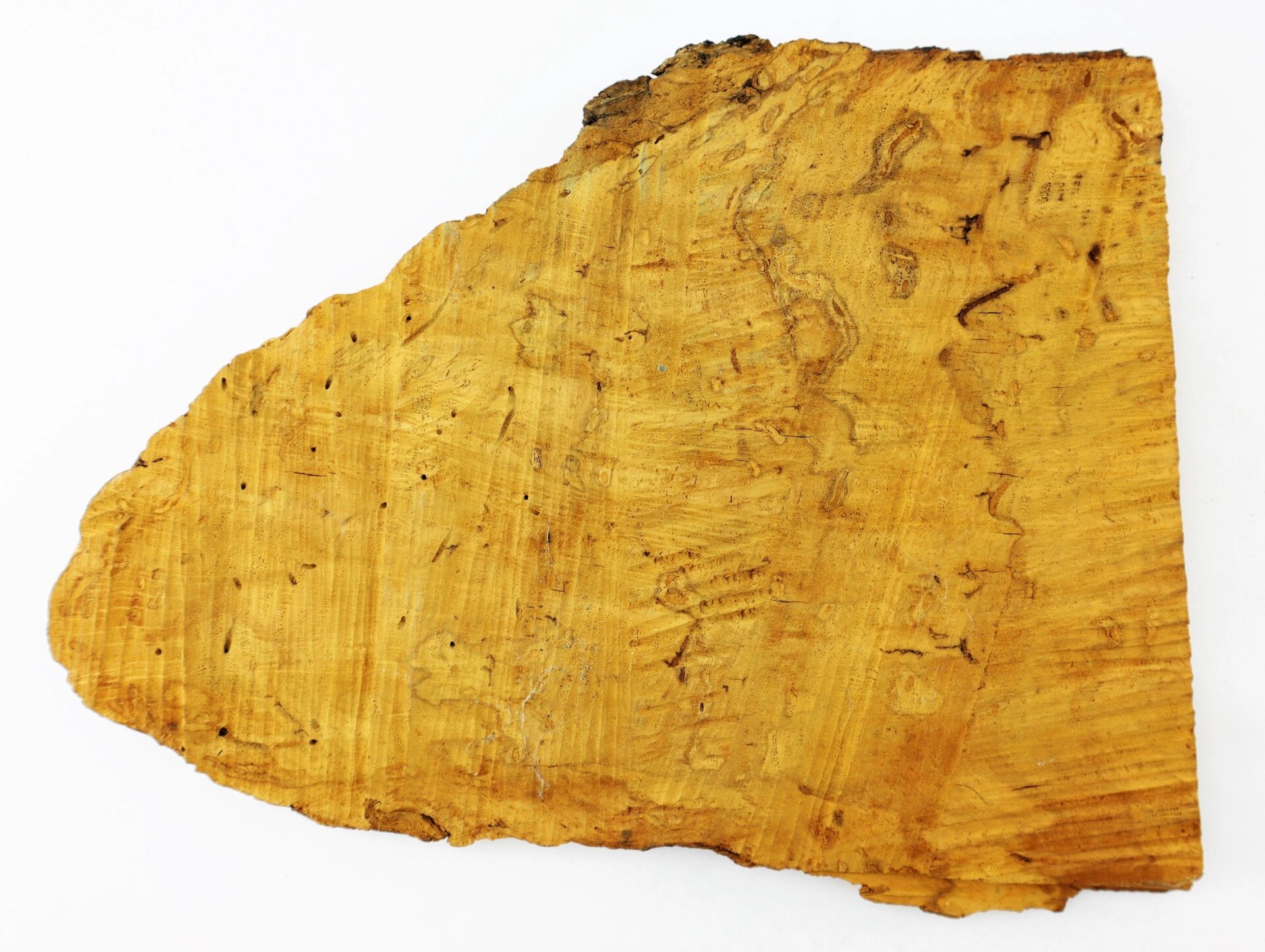 A flat, roughly cut section of wood from the “Lincoln Oak,” showing natural textures and patterns, displayed on a white background.