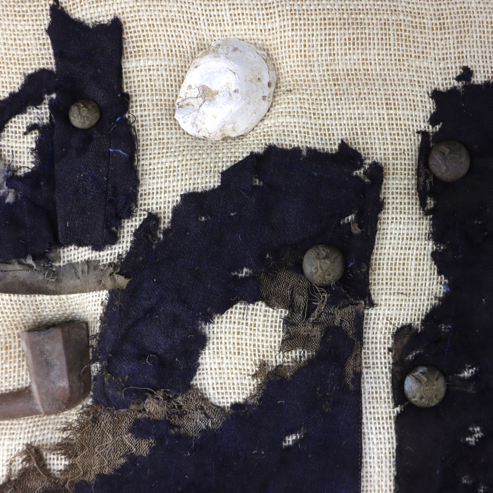 Torn dark fabric with metal buttons, a rusty metal object, and a white shell displayed on coarse beige mesh.