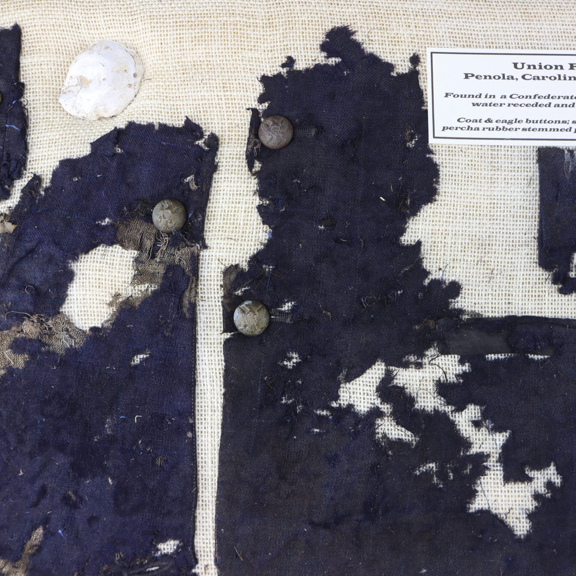 Tattered dark blue fabric with several metal buttons, a shell, and a small label noting the items were found in a Confederate position in Penola, Carolina.