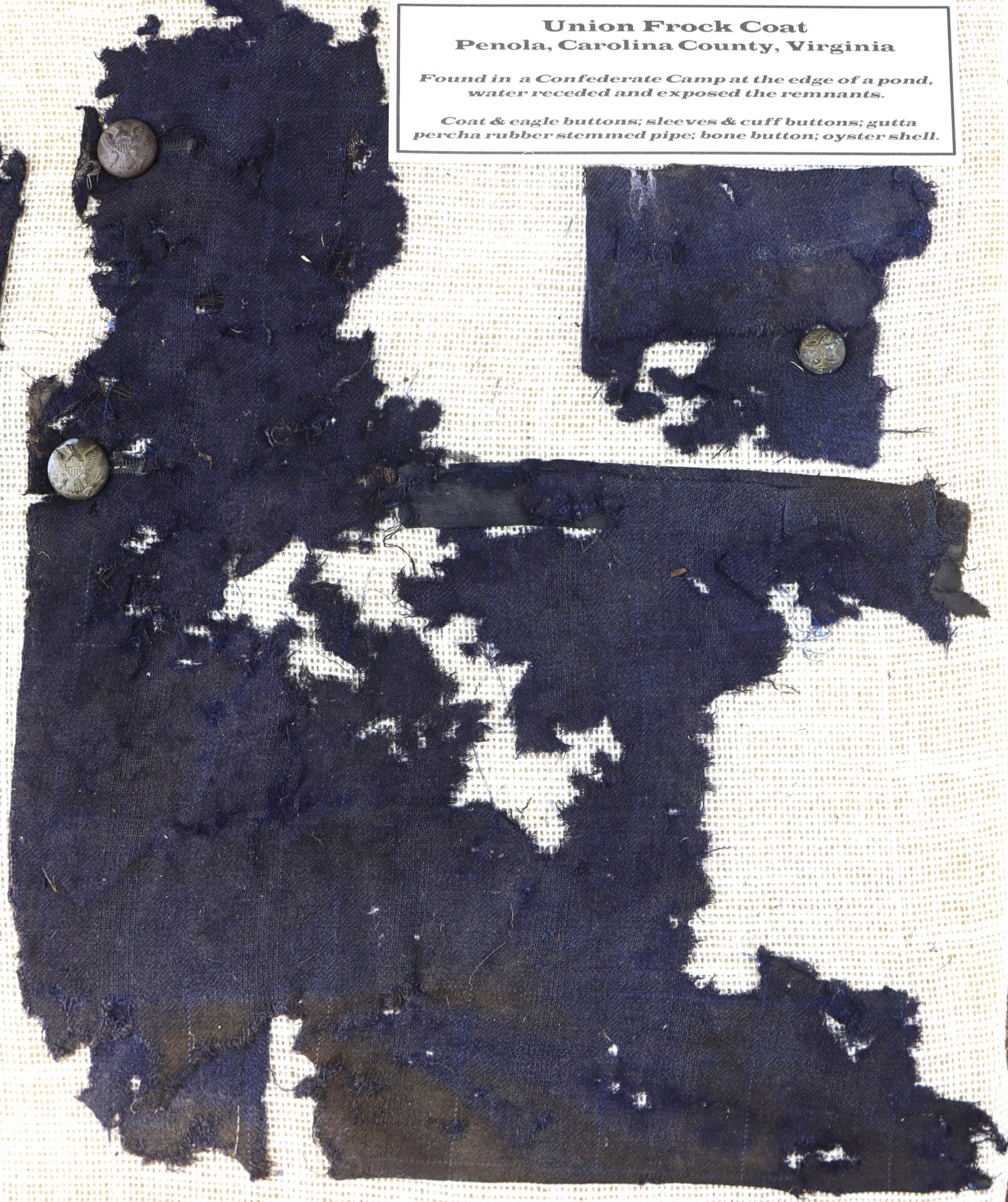 Torn and discolored fragments of a Union frock coat with metal buttons, displayed on a light background with an explanatory label above.