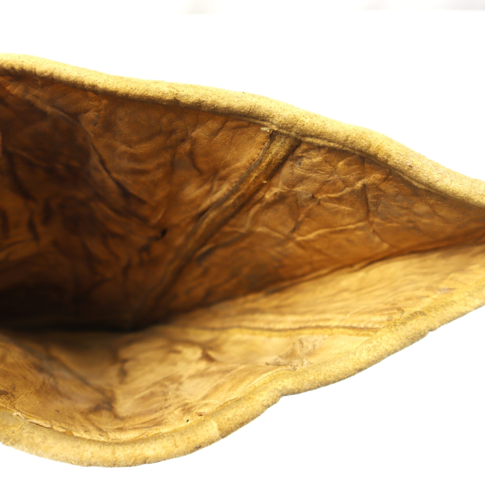 Close-up view of the inside of a tan, textured, and wrinkled object, possibly leather or similar material, with a curved edge against a white background.