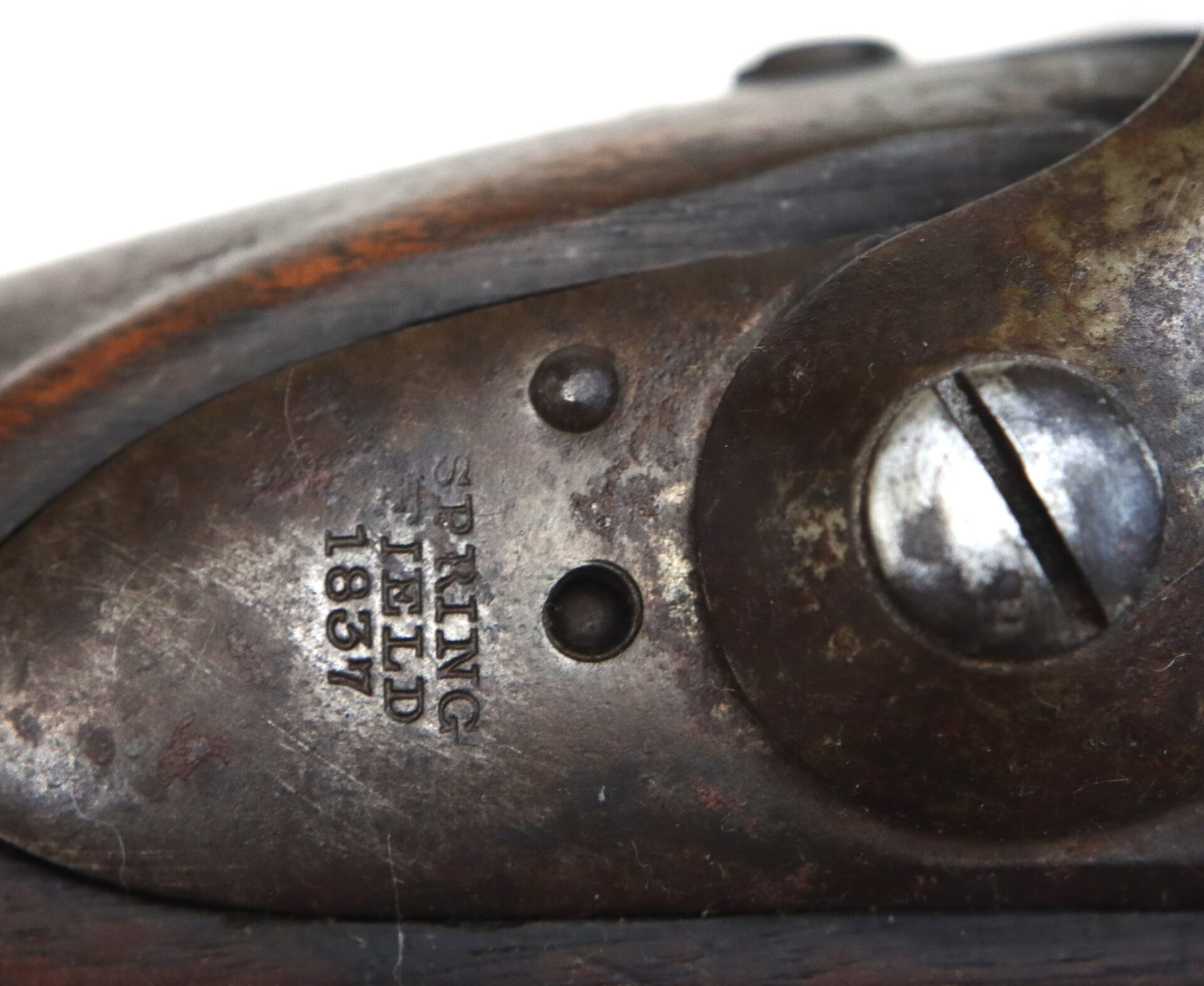 Close-up of an antique firearm showing a metal plate engraved with "SPRINGFIELD 1837" and a screw.