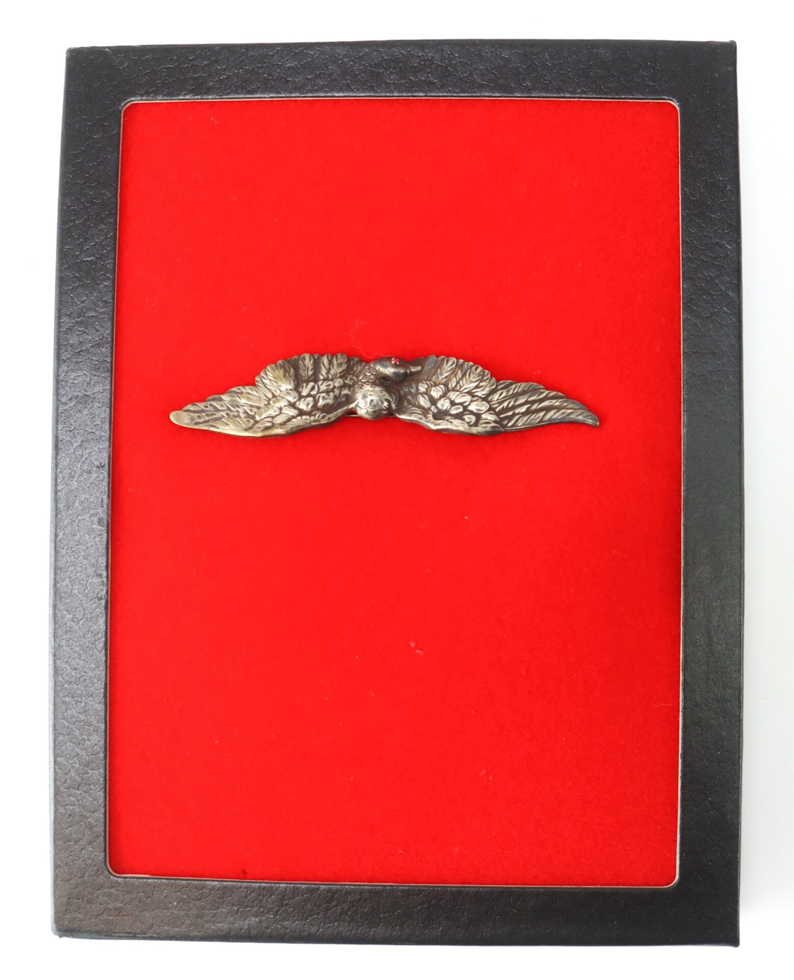 A metallic winged badge displayed on a red felt background inside a black rectangular frame.