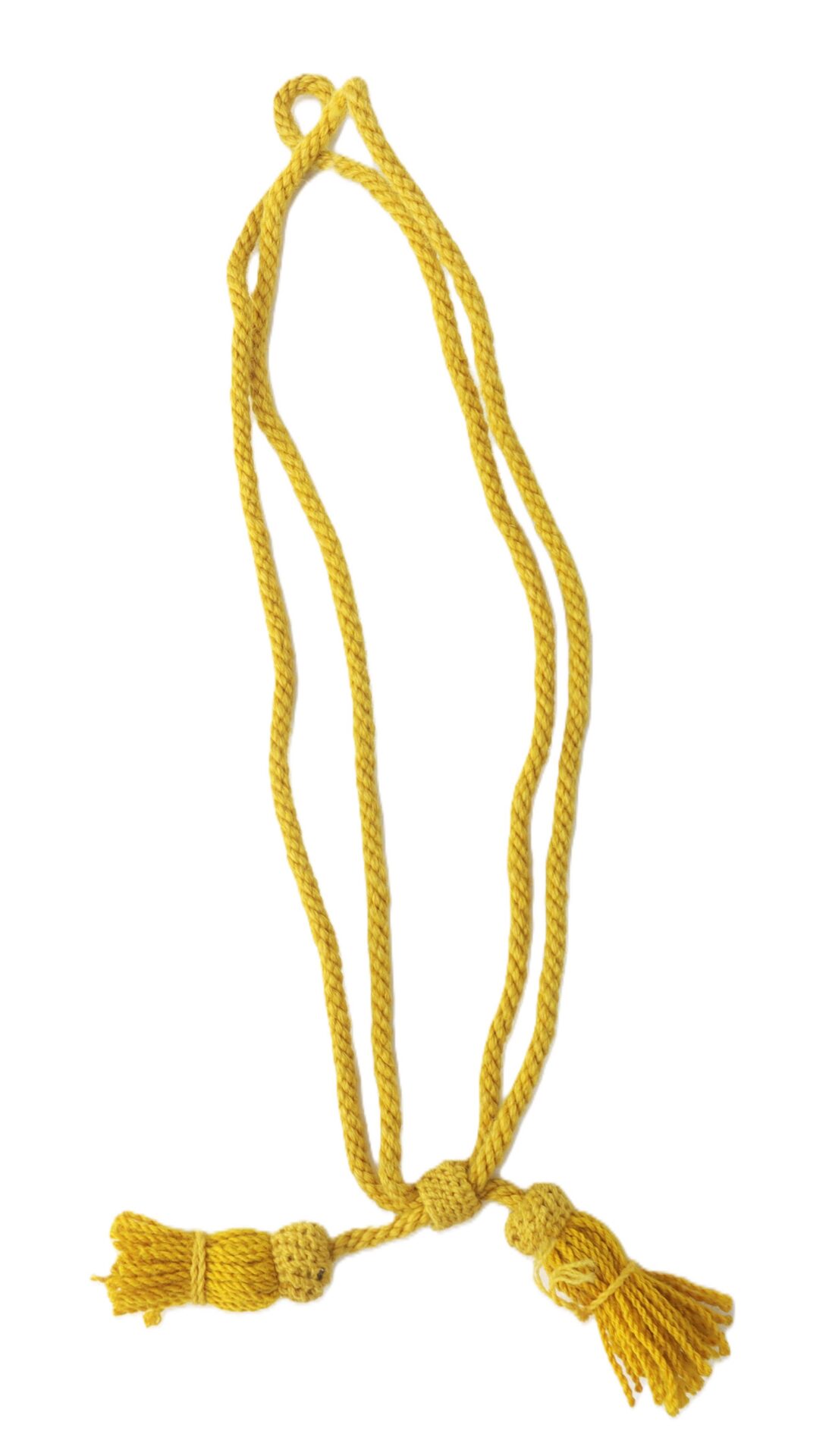 A gold honor cord with two tassels, looped and placed on a white background.