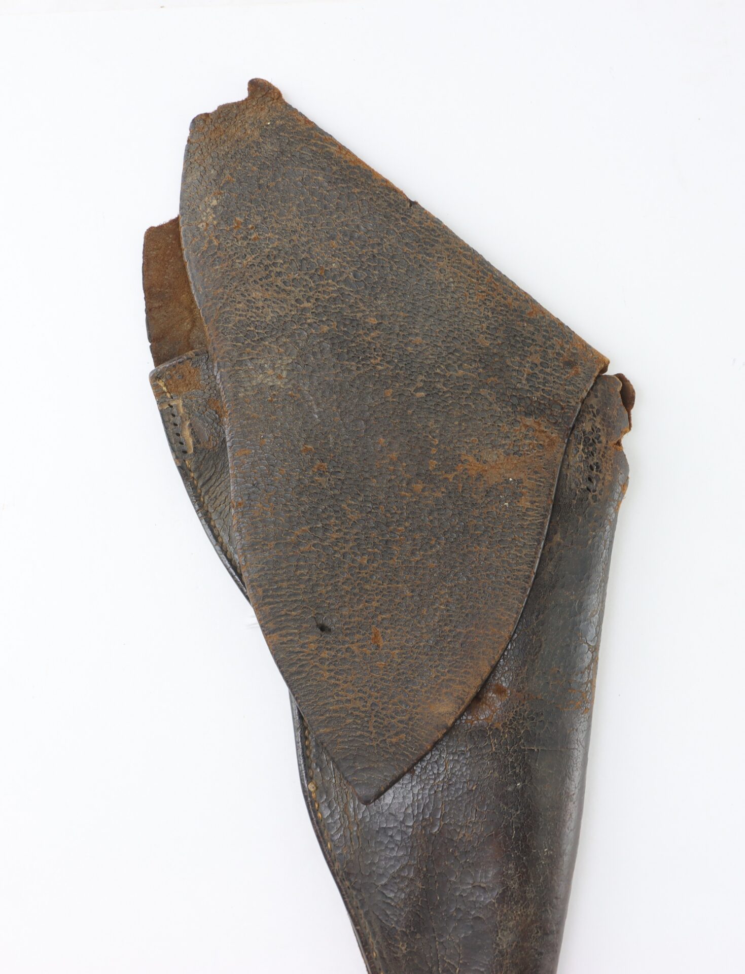 A close-up of a large, textured, dark brown piece of dried animal skin or hide against a white background.