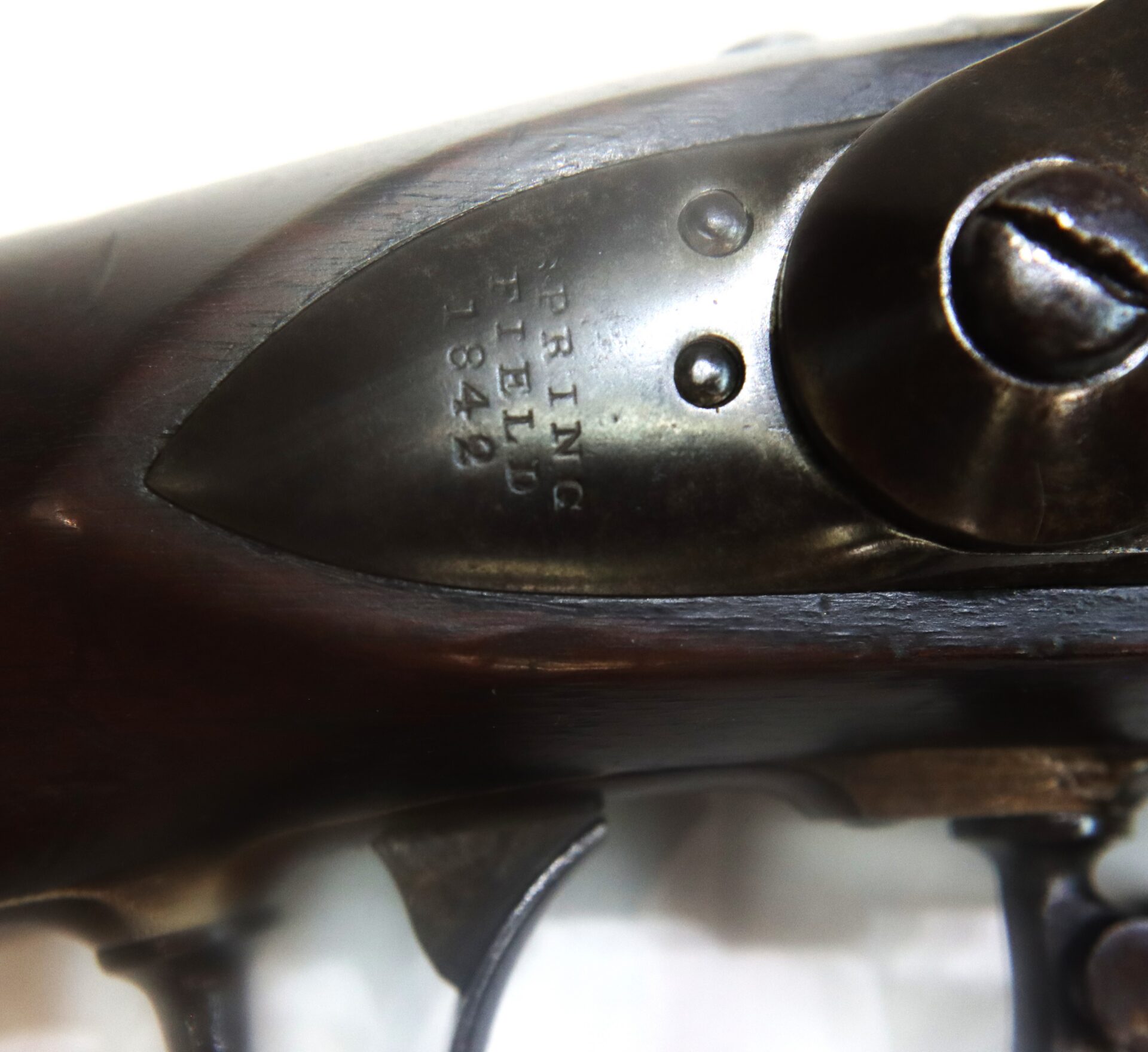 Close-up of a firearm's lockplate showing the engraved text "SPRINGFIELD 1842" on a metal surface.