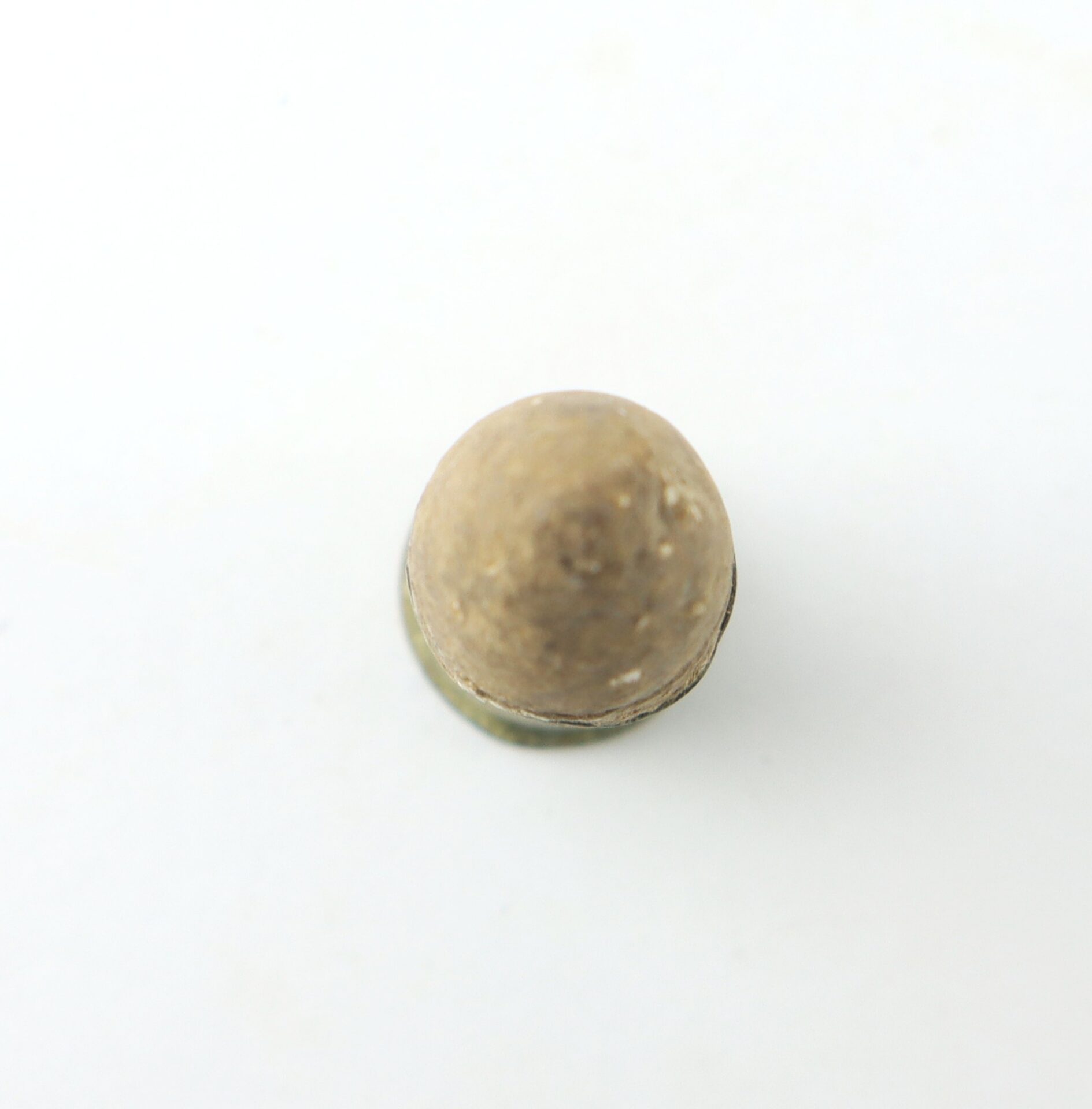 A single round, brown object with a rough texture, resembling a small dome or pellet, placed on a plain white background.