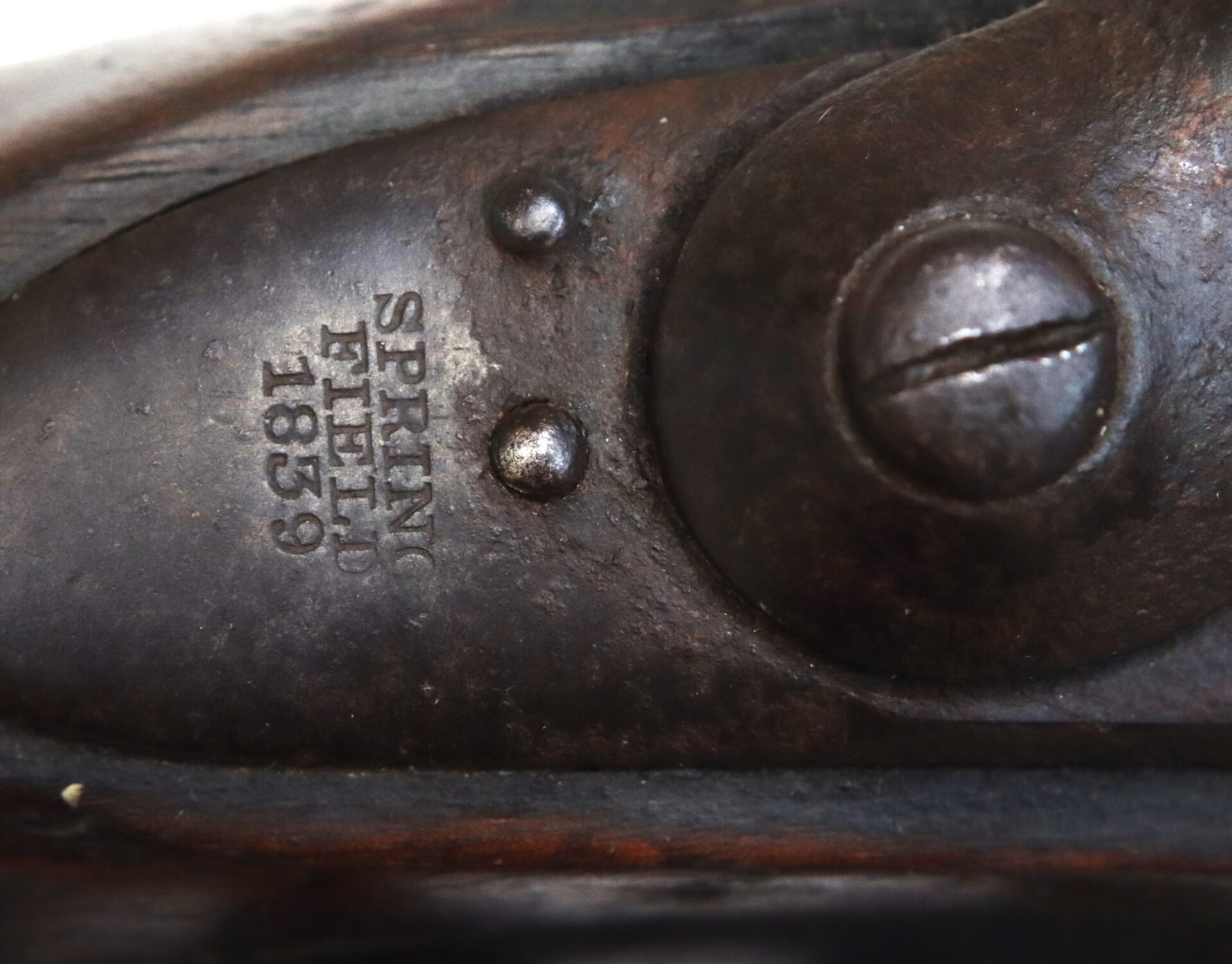 Close-up of a metal plate on an antique firearm, stamped with "SPRINGFIELD 1839," featuring a screw and visible aging on the surface.