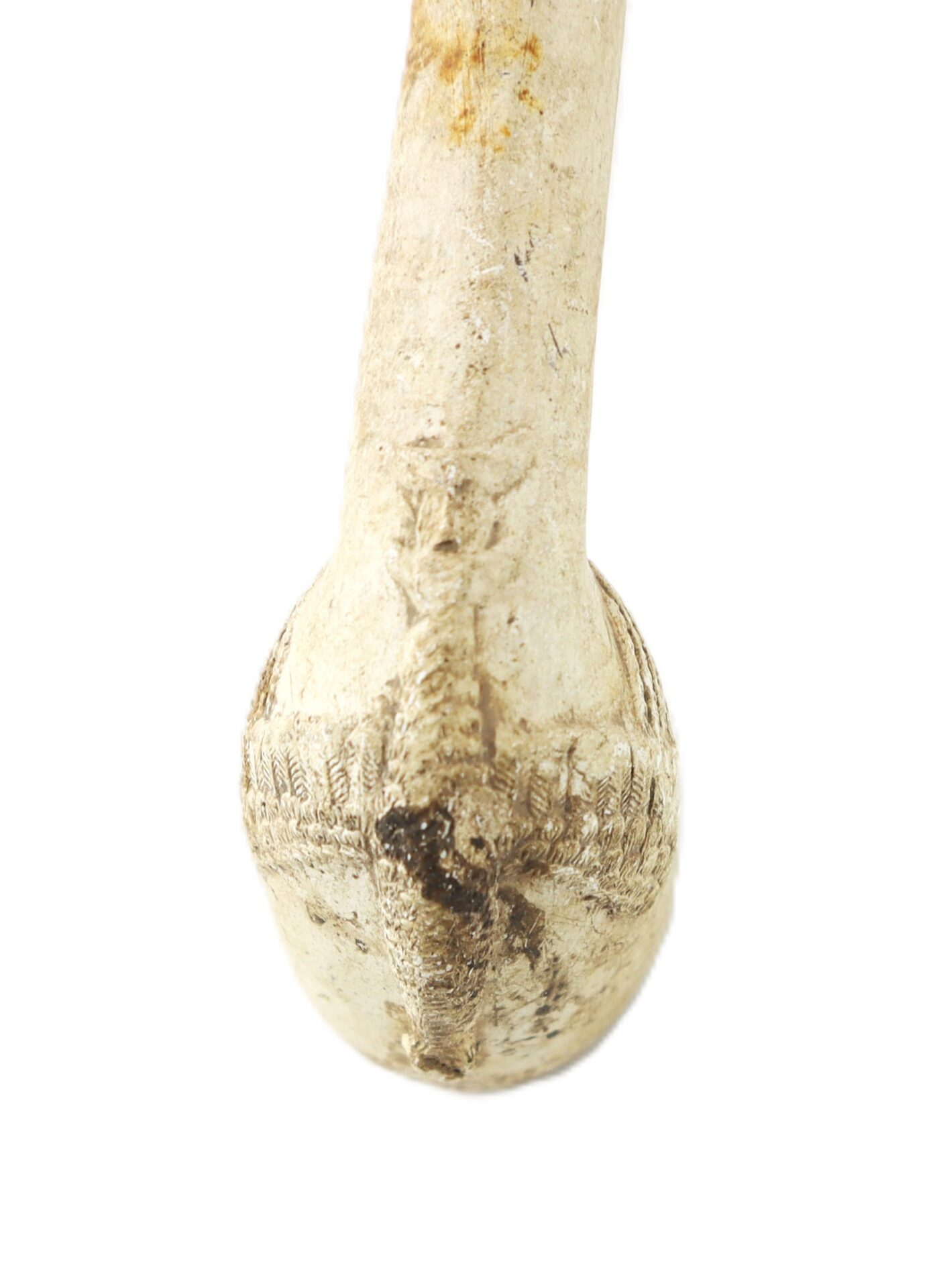 Close-up of the rounded end of a white animal bone, displaying textured details and natural discoloration on the surface.