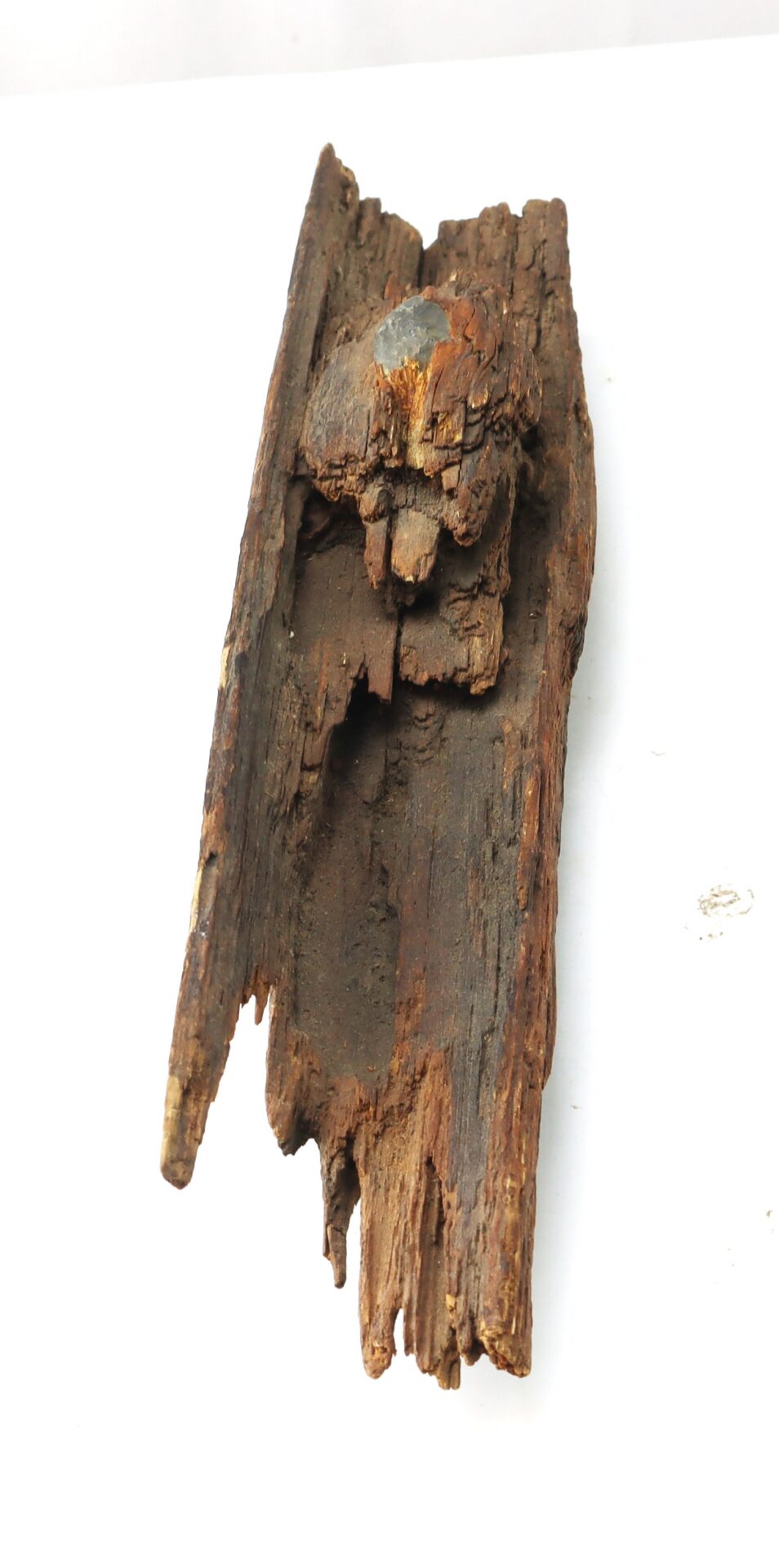 A weathered piece of wood with a rusted nail partially embedded at one end, set against a plain white background.
