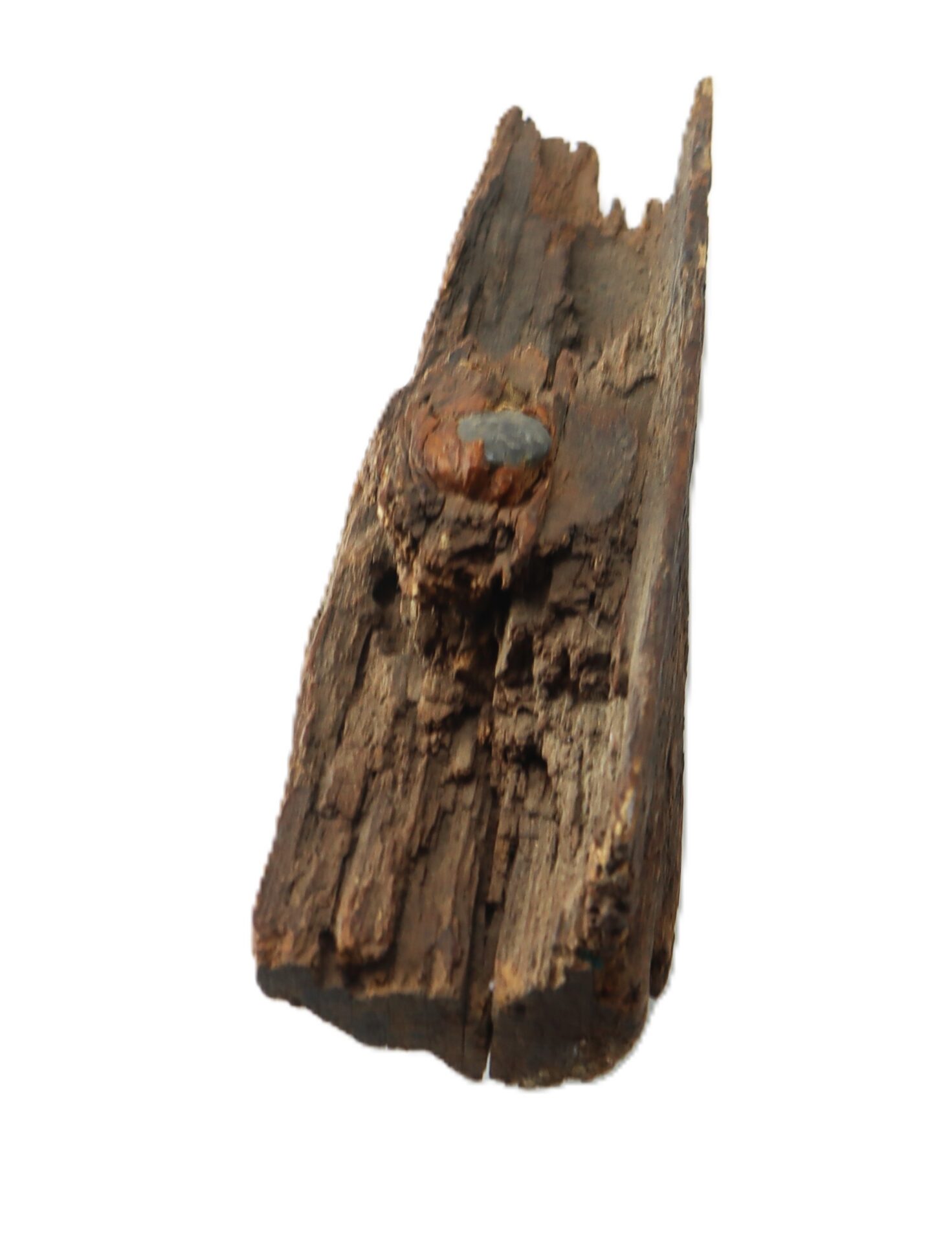 A close-up of a weathered, splintered piece of wood with a rusted nail embedded in it, isolated on a white background.