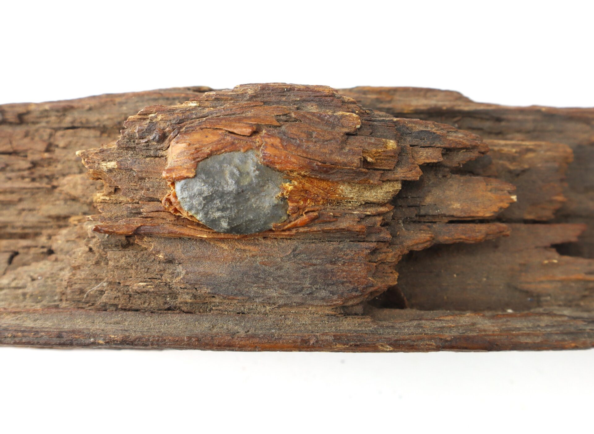 A piece of weathered wood with a small, dark gray stone lodged in its surface against a white background.