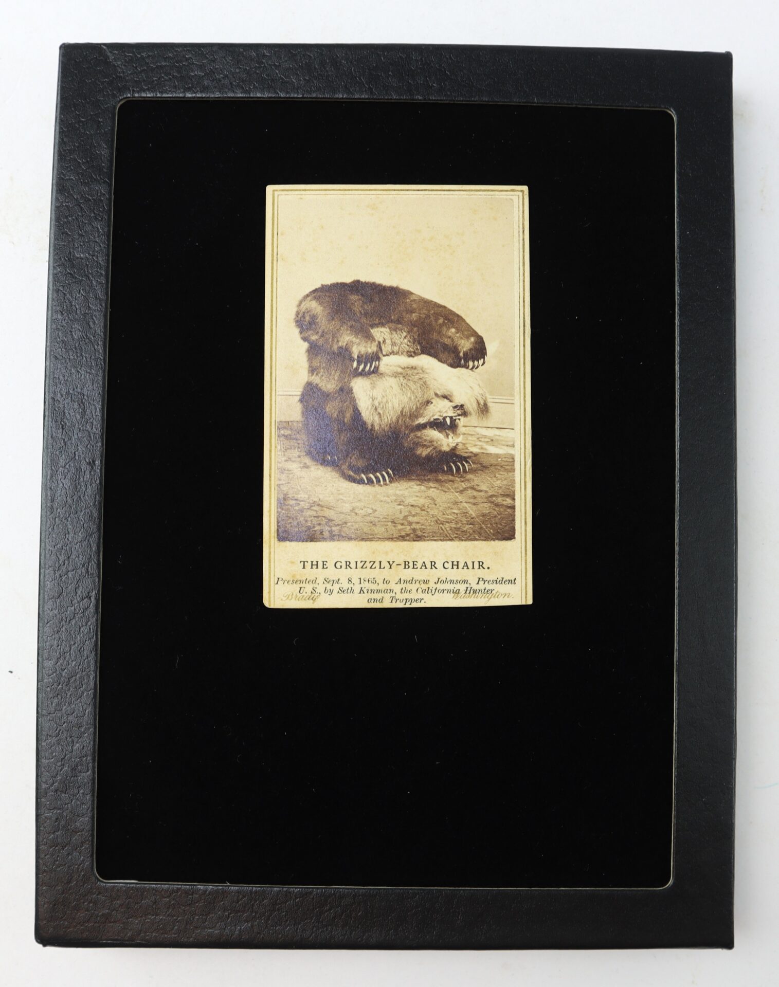 A photograph titled “The Grizzly-Bear Chair” shows a bear sitting on a man; the photo is mounted on a black background with a white border around the image.